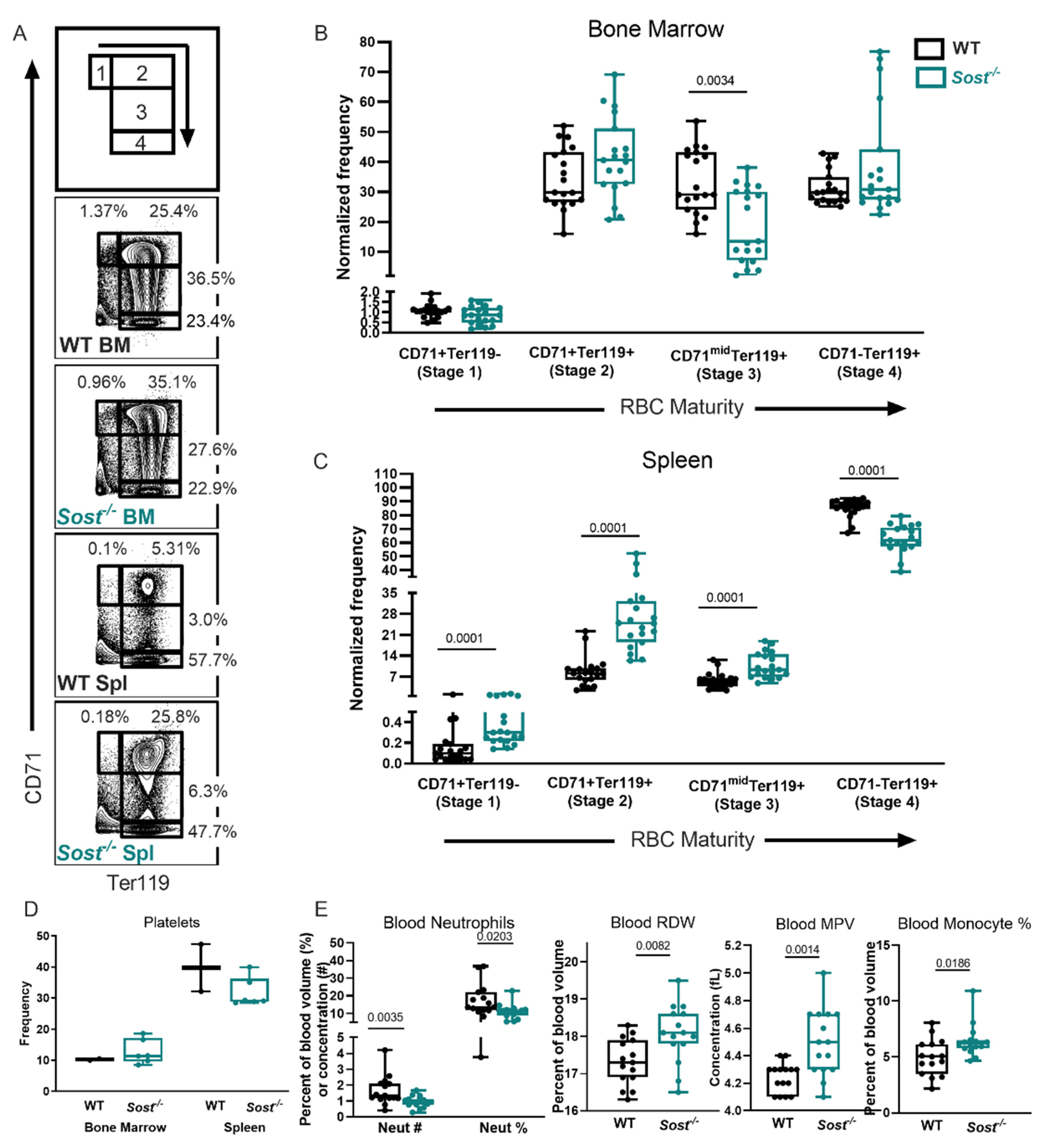 Ijms 22 09111 g006 Ijms 22 09111 g006