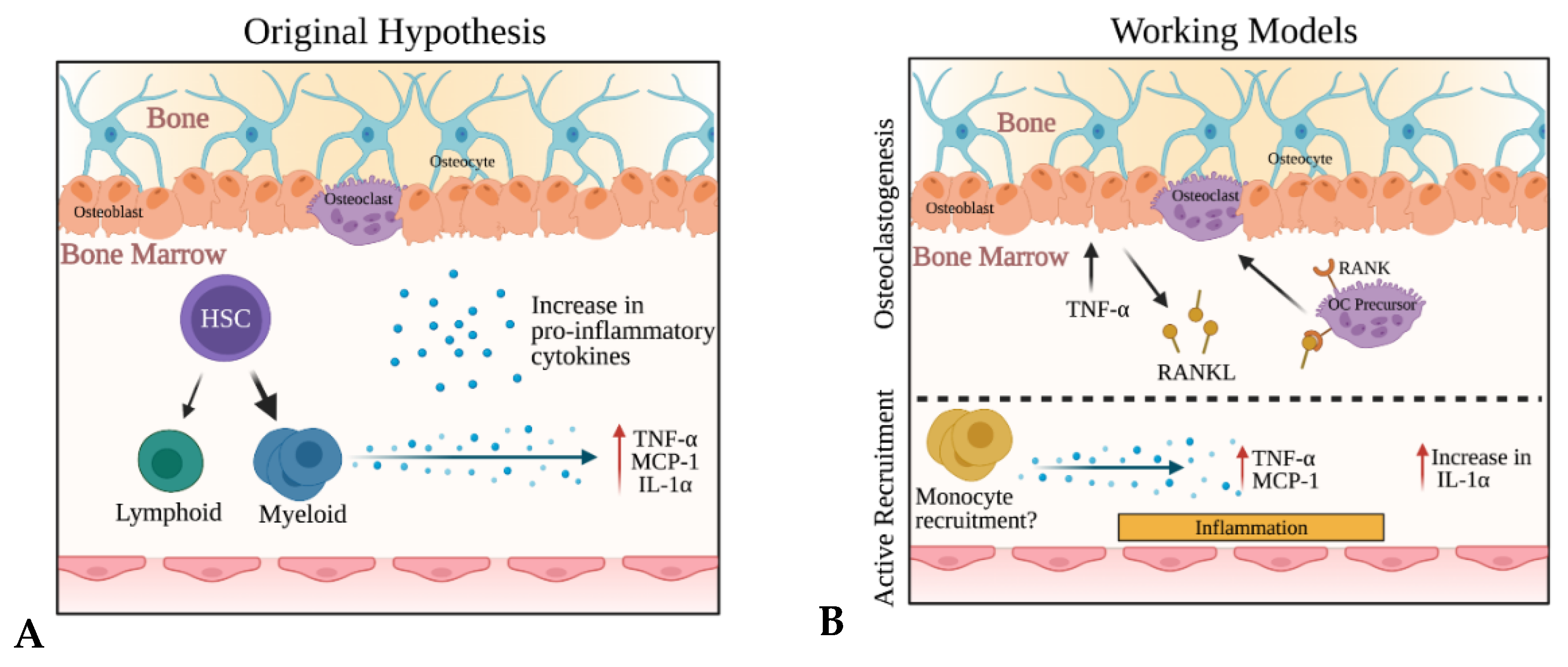 Ijms 22 09111 g007 Ijms 22 09111 g007