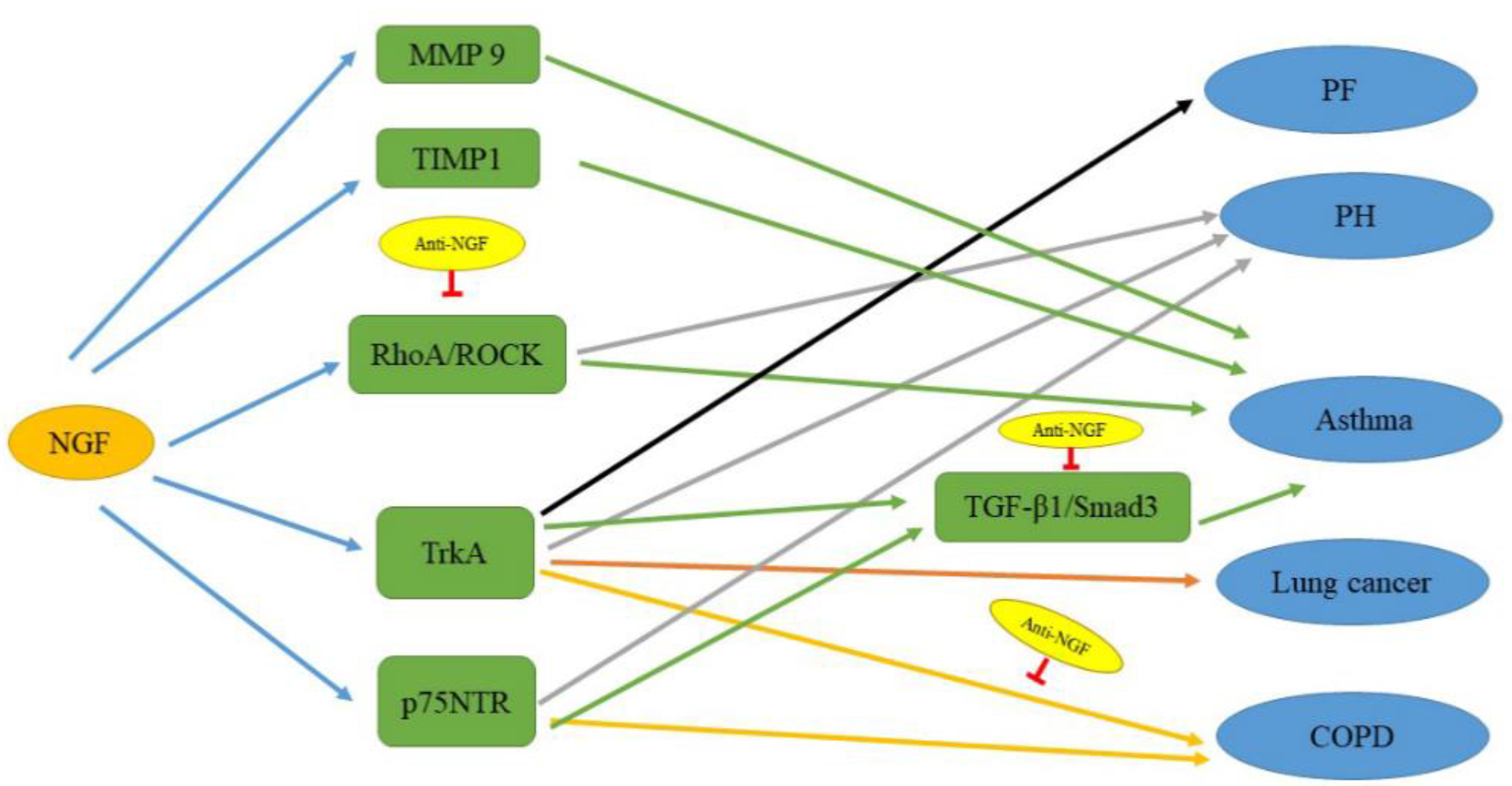 Ijms 22 09112 g003 Ijms 22 09112 g003