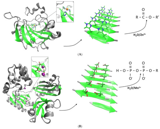 Ijms 22 09166 g002 550