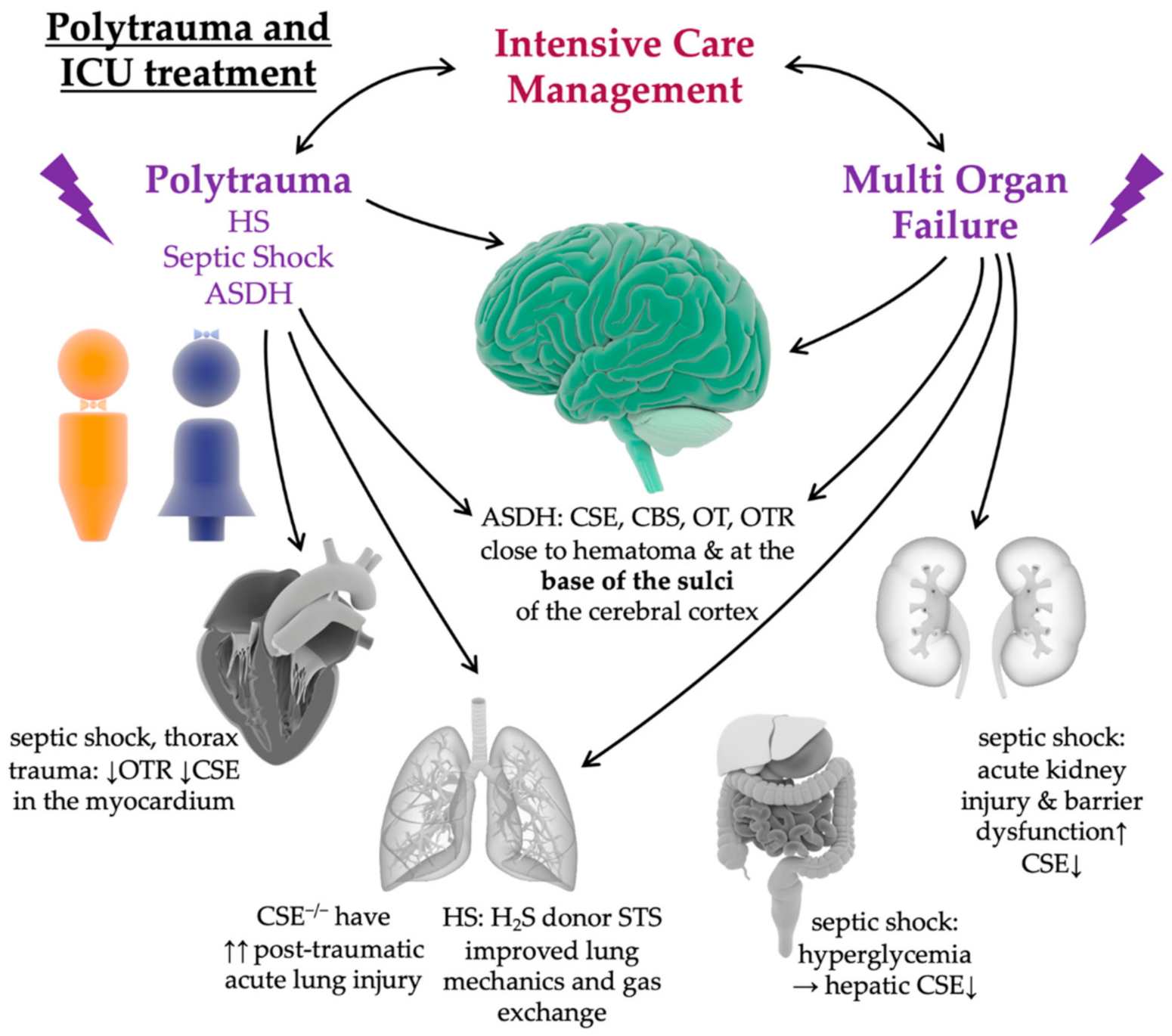 Ijms 22 09192 g005 Ijms 22 09192 g005