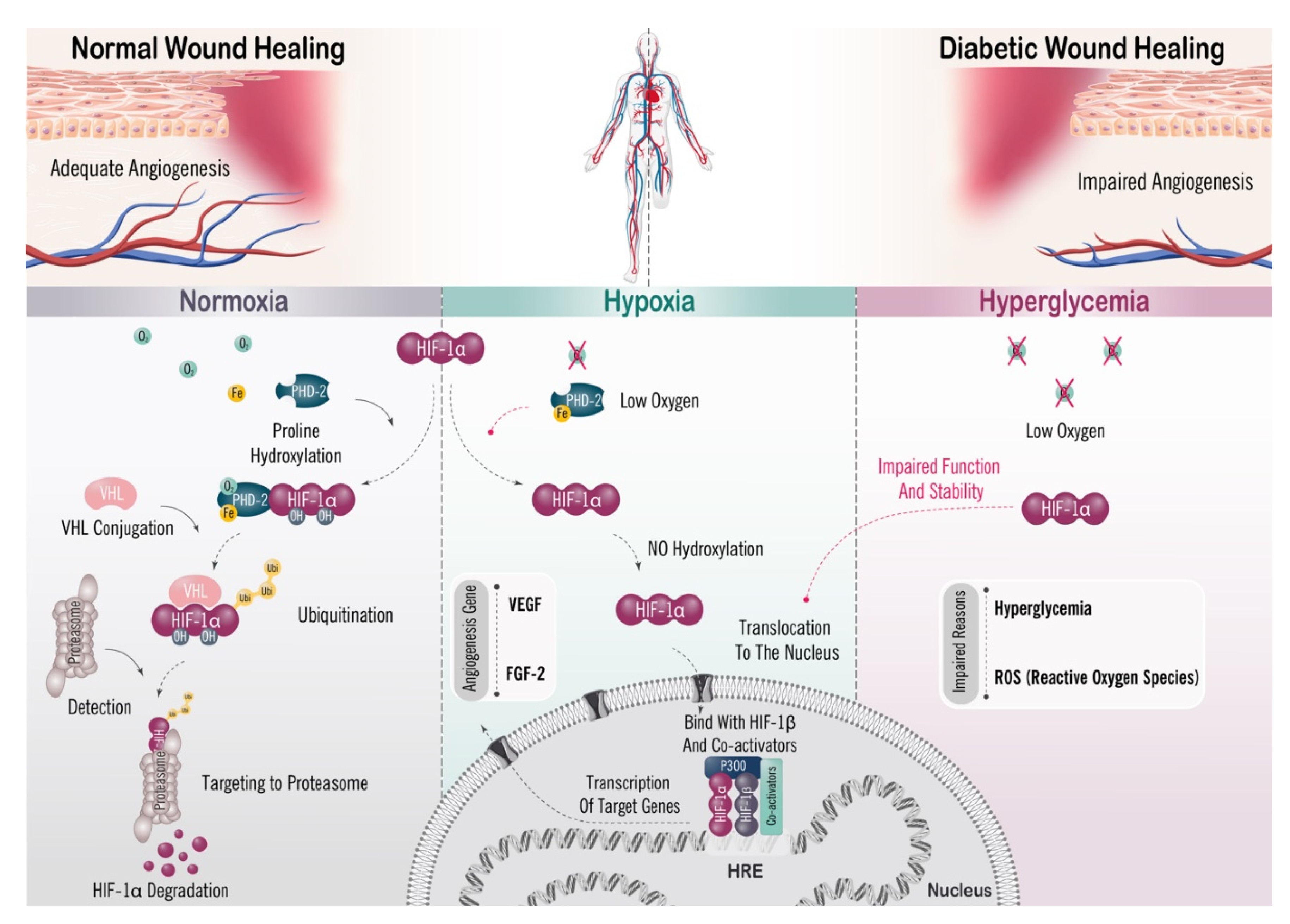 Ijms 22 09216 sch001