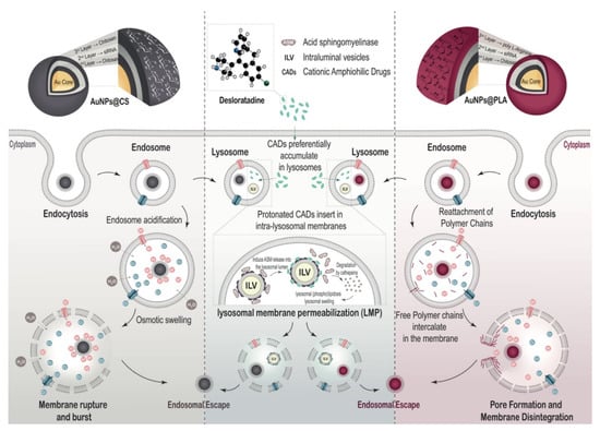 Ijms 22 09216 sch002 550