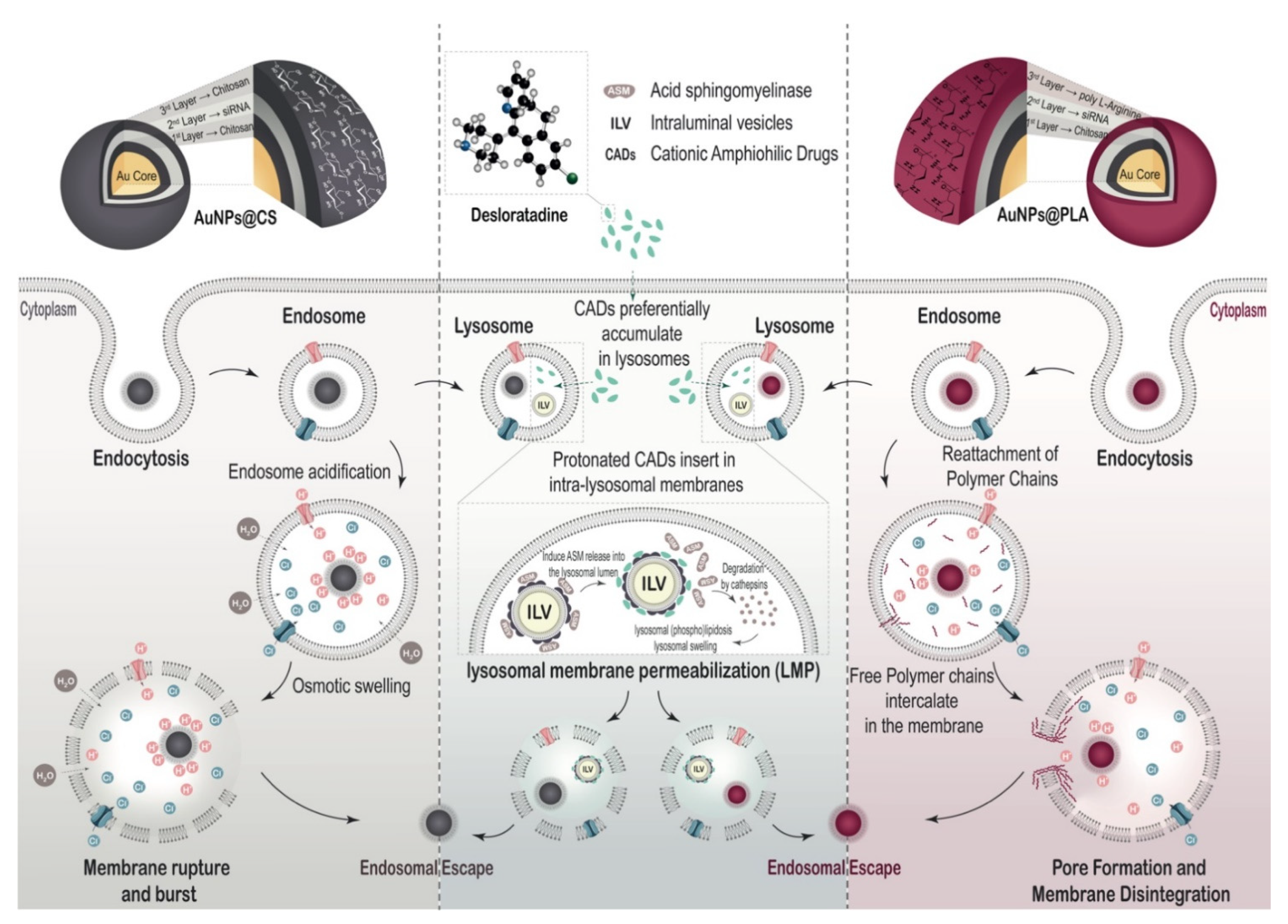 Ijms 22 09216 sch002