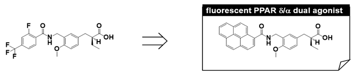 Ijms 22 09223 i004 Ijms 22 09223 i004