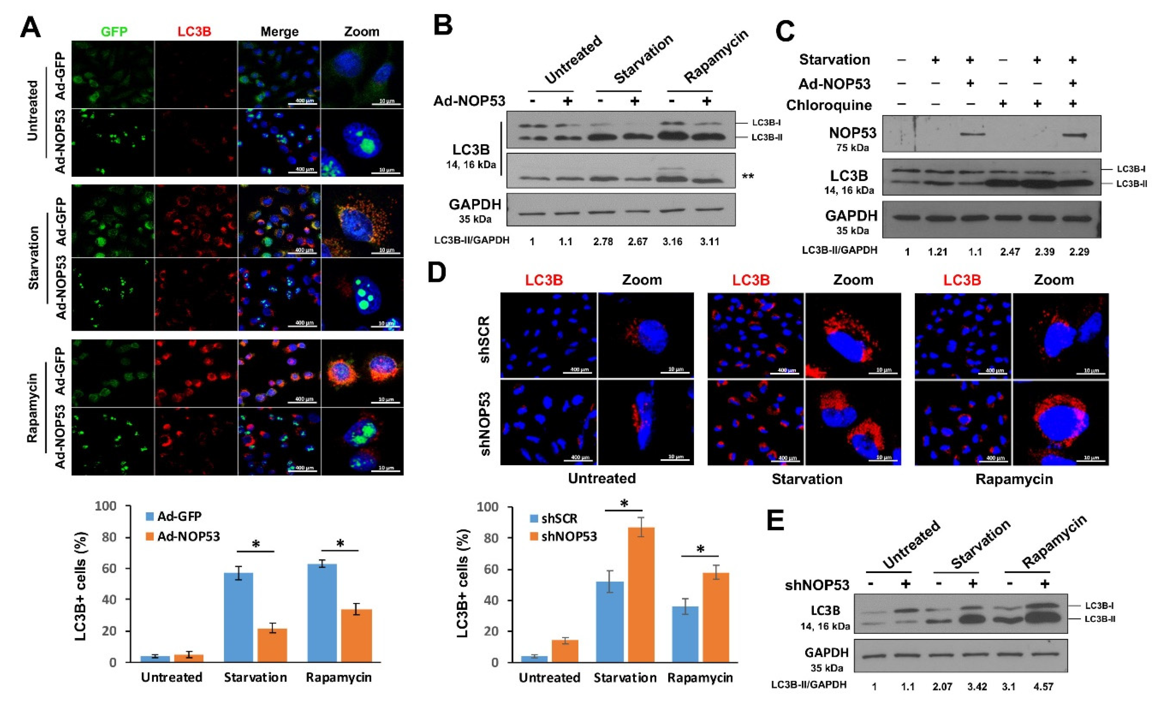 Ijms 22 09318 g001 Ijms 22 09318 g001