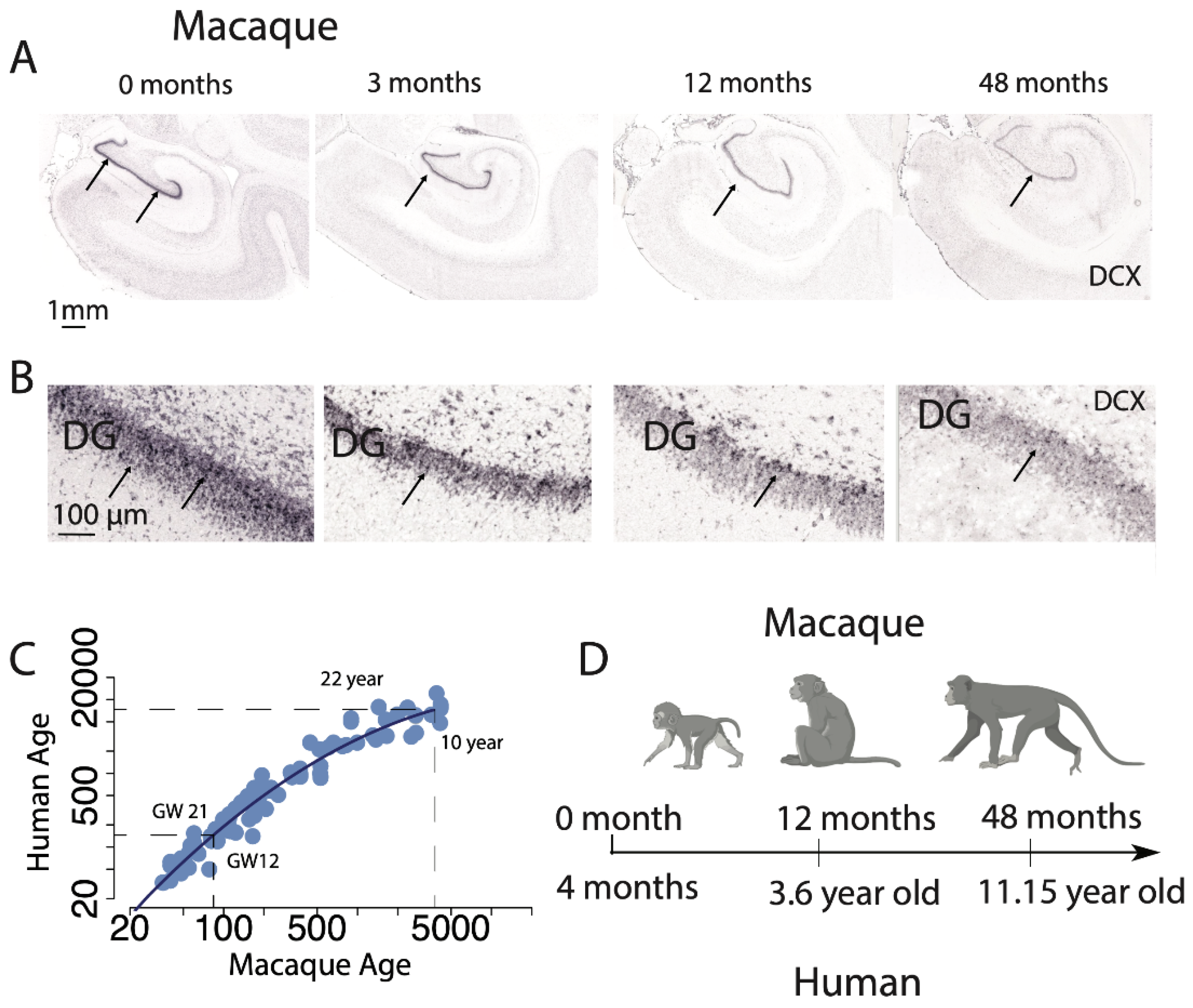 Ijms 22 09358 g005 Ijms 22 09358 g005