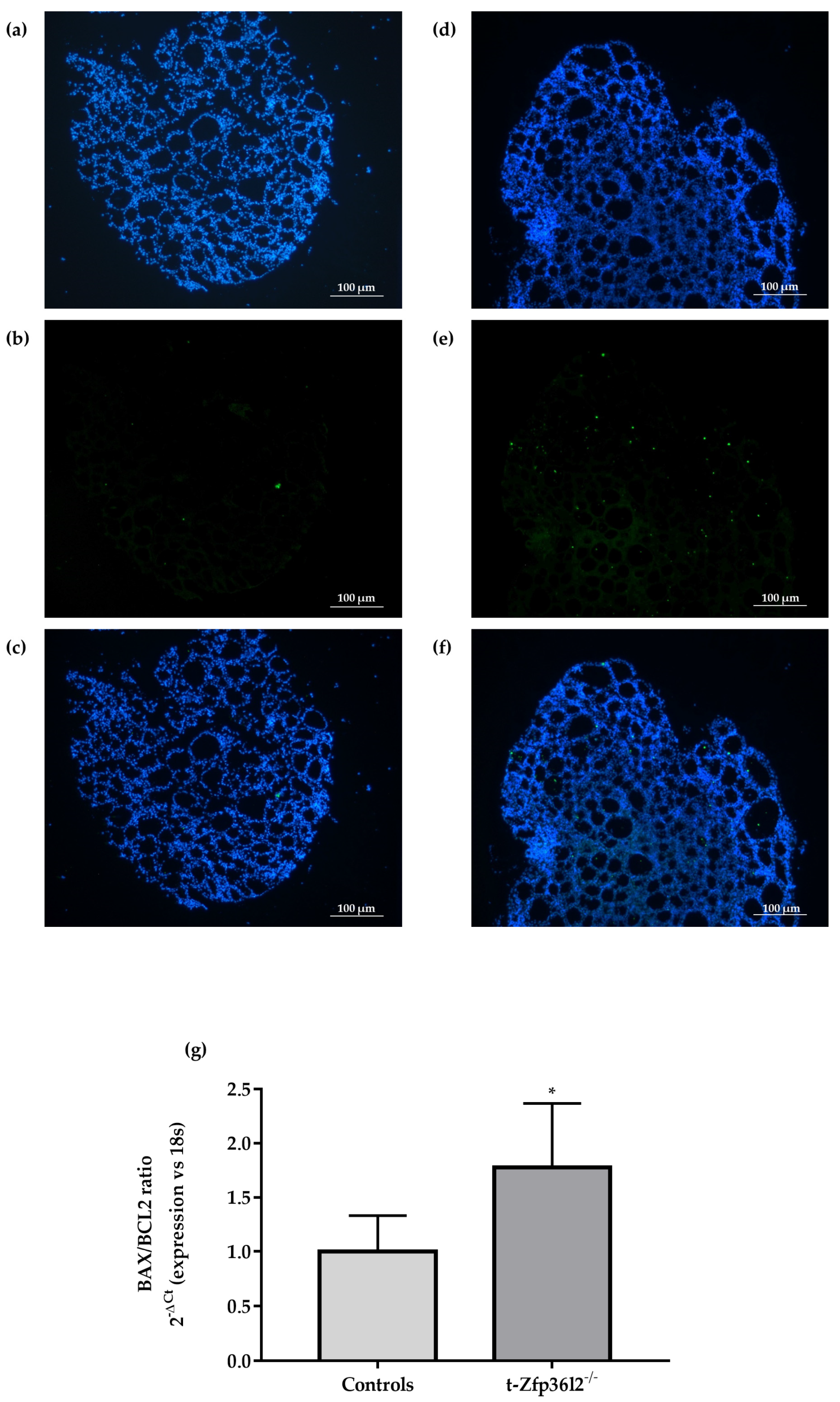 Ijms 22 09379 g003 Ijms 22 09379 g003