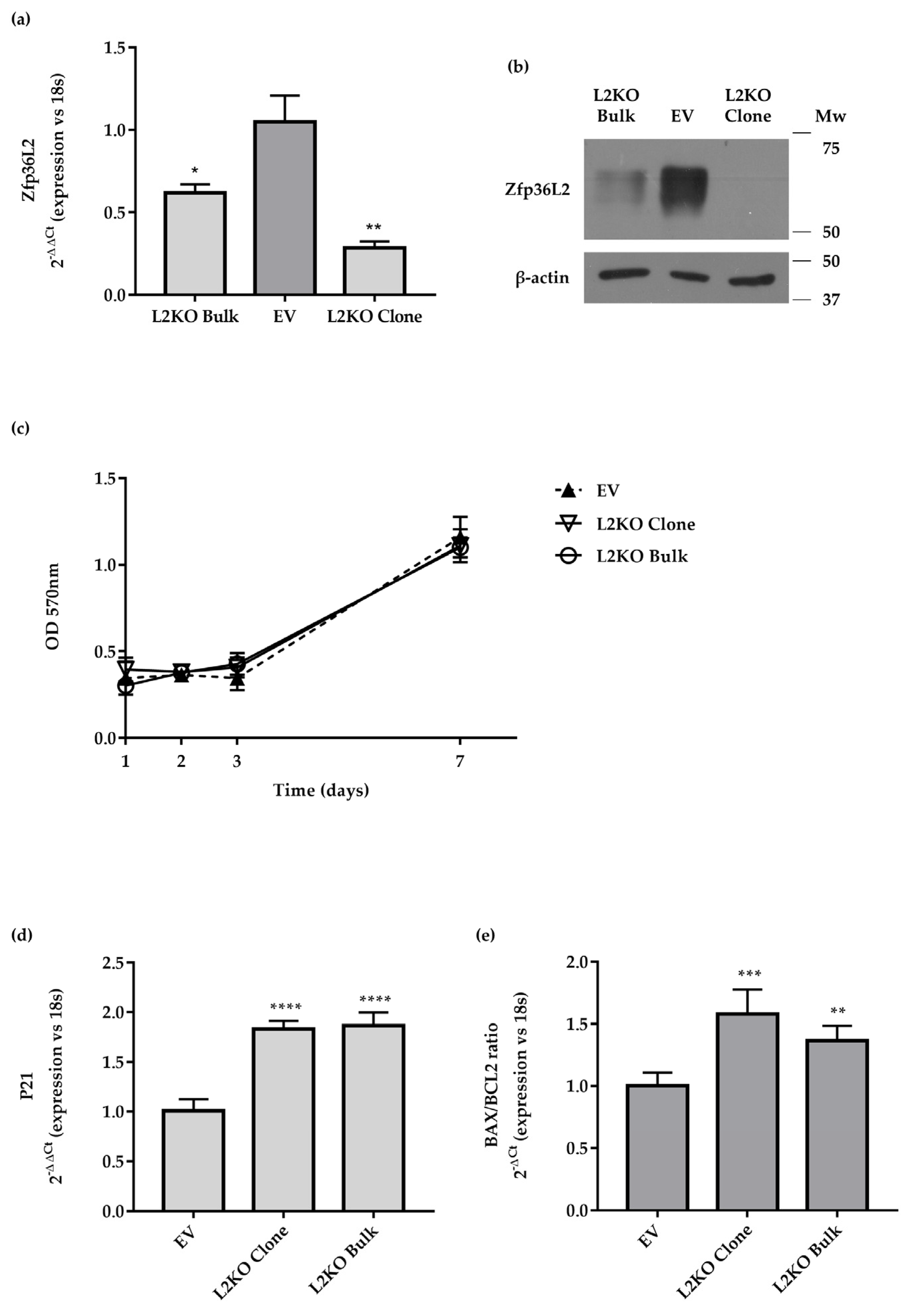 Ijms 22 09379 g005 Ijms 22 09379 g005