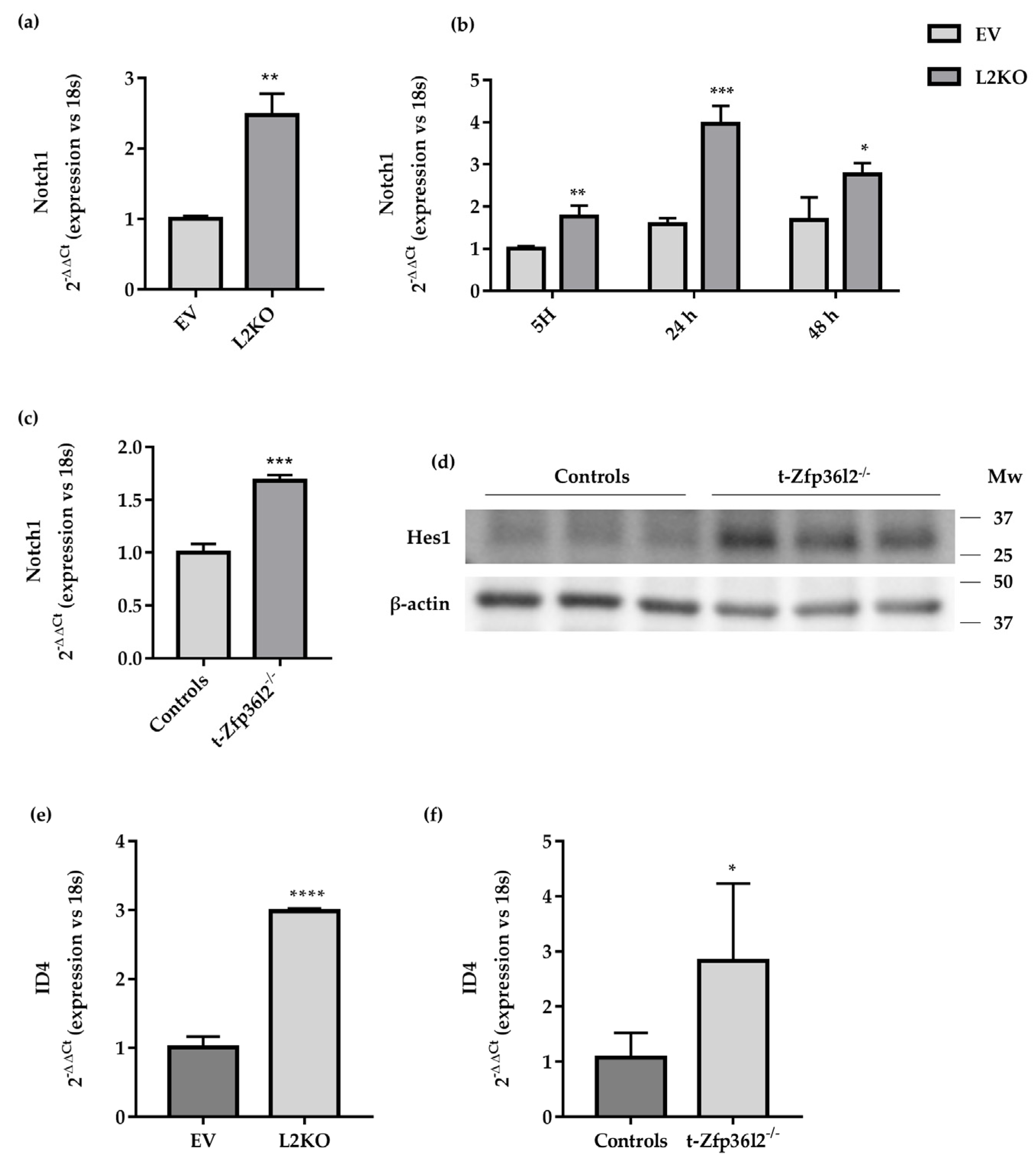 Ijms 22 09379 g008 Ijms 22 09379 g008