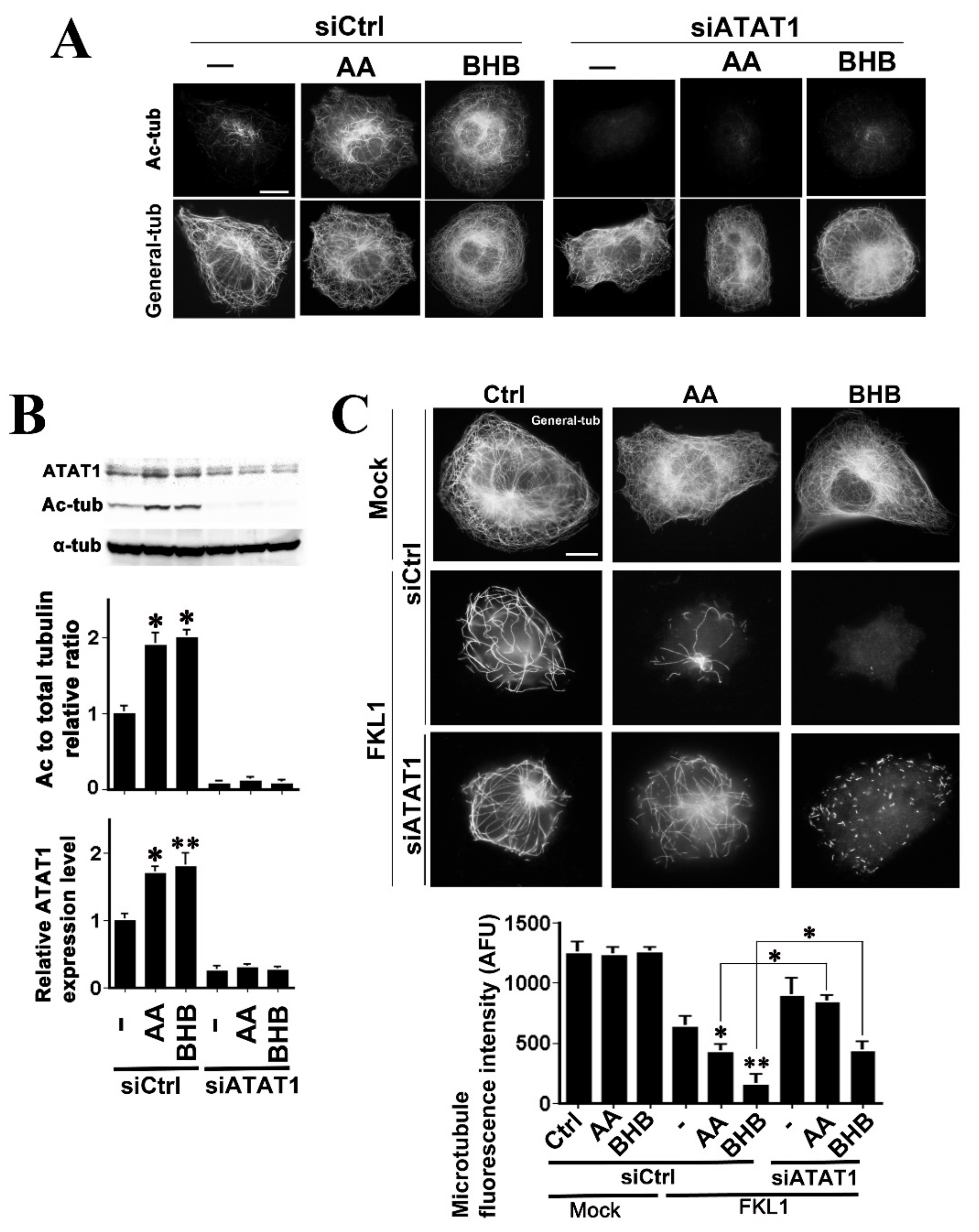 Ijms 22 09397 g003