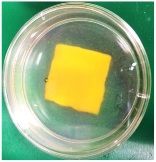 Ijms 22 09399 g0a2 550