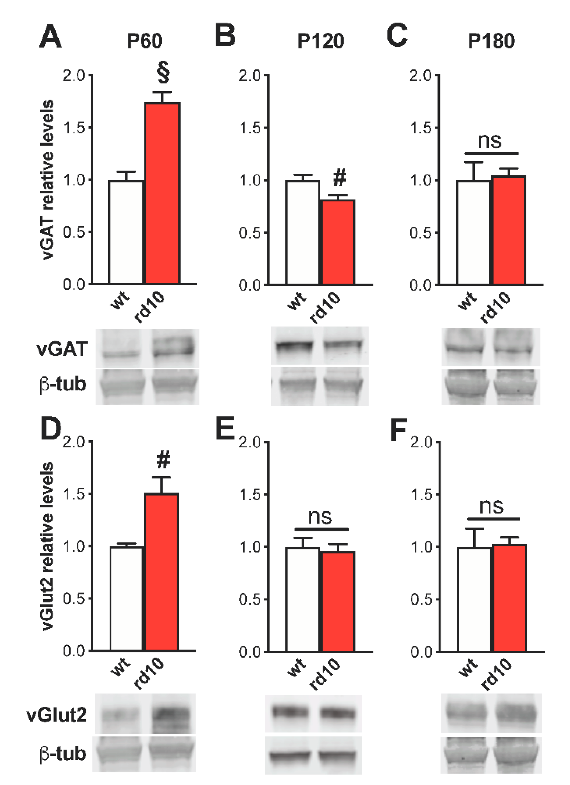 Ijms 22 09412 g001 Ijms 22 09412 g001