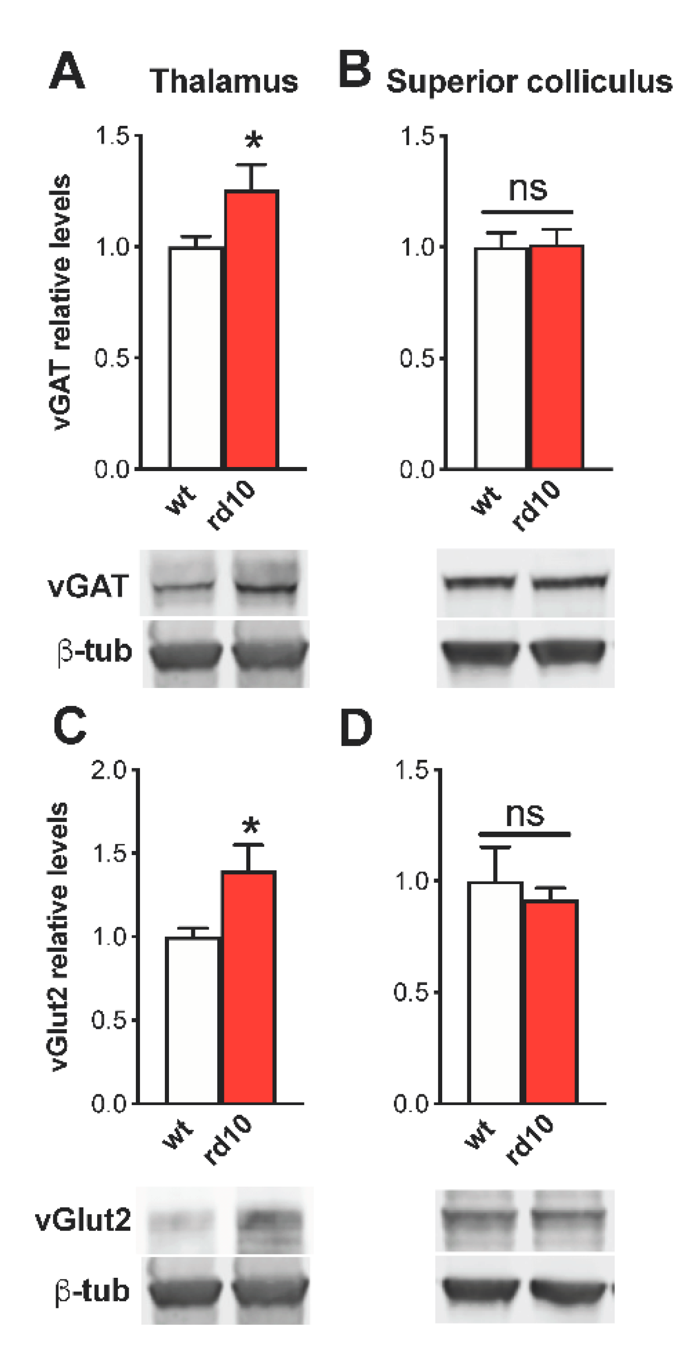 Ijms 22 09412 g005 Ijms 22 09412 g005