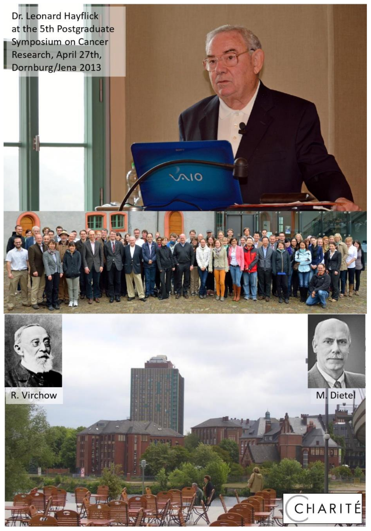 Ijms 22 09418 g004 Ijms 22 09418 g004