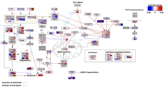 Ijms 22 09432 g0a2 550