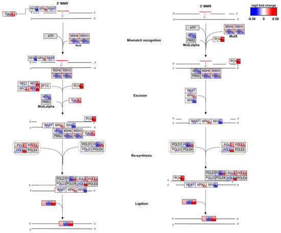 Ijms 22 09432 g0a3 550