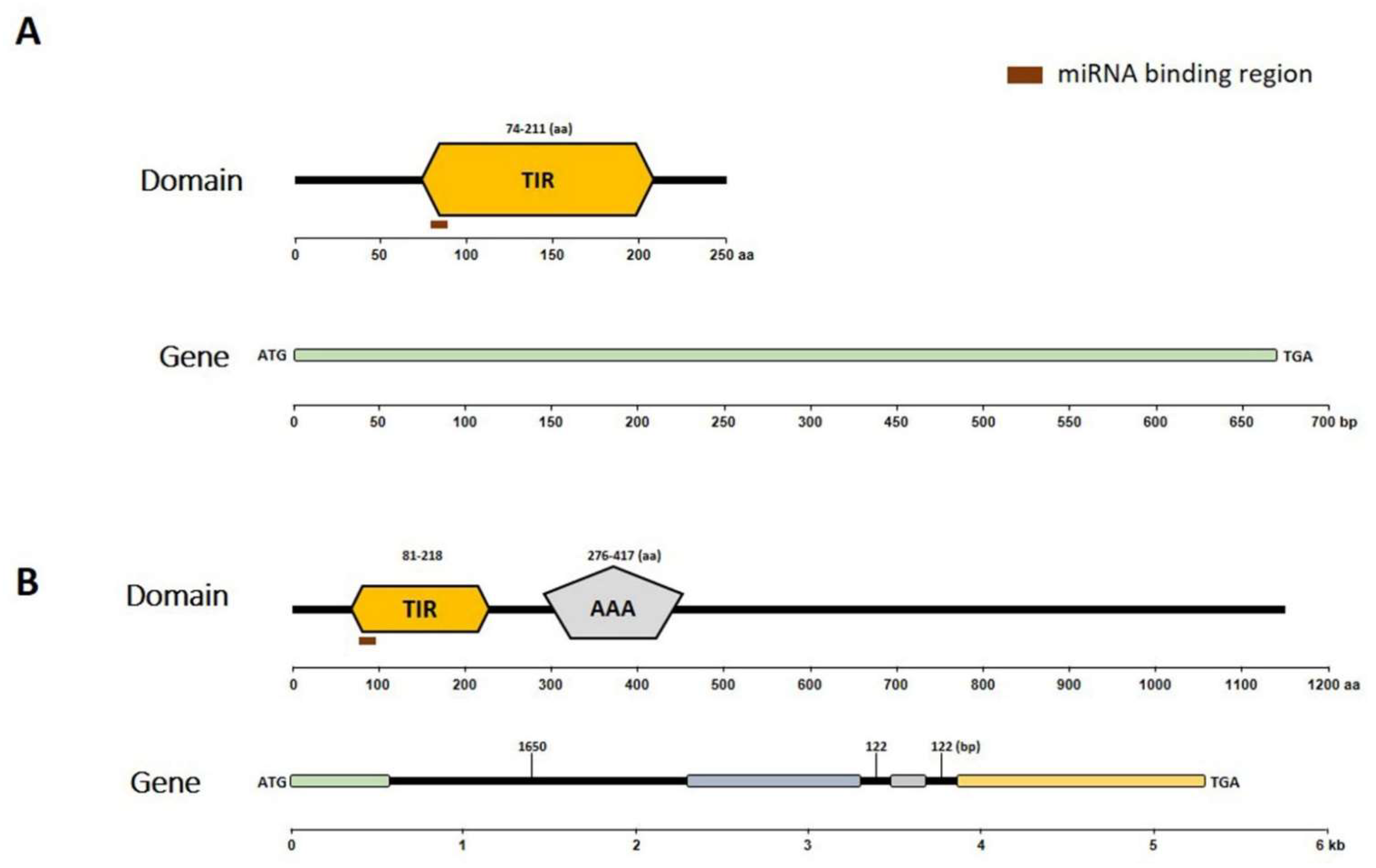 Ijms 22 09433 g003 Ijms 22 09433 g003
