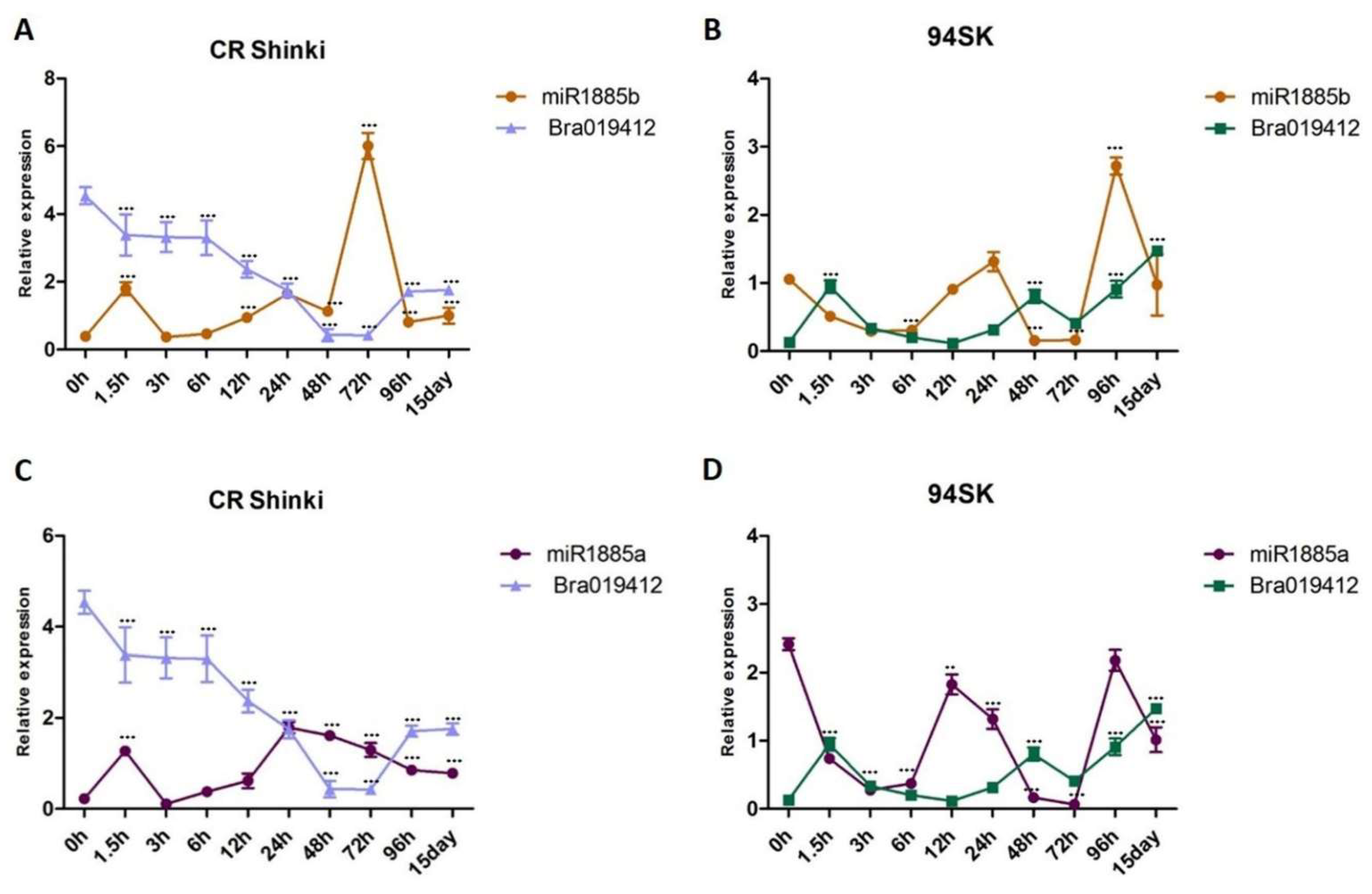 Ijms 22 09433 g004 Ijms 22 09433 g004