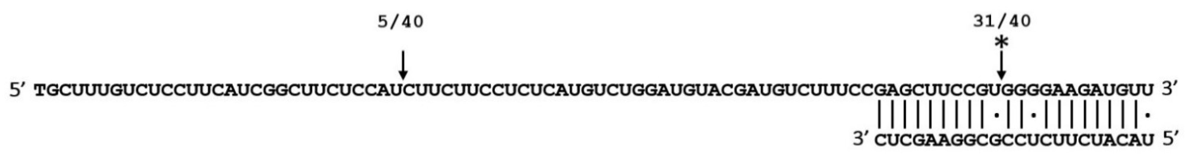 Ijms 22 09433 g007 Ijms 22 09433 g007