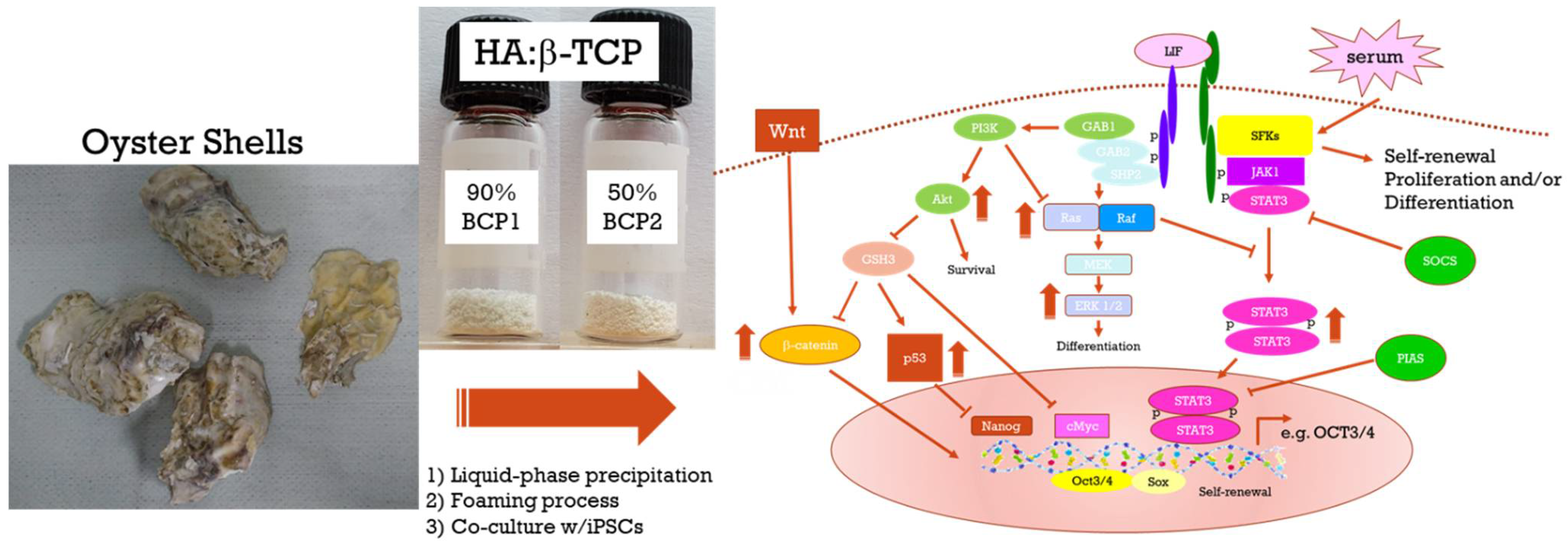 Ijms 22 09444 sch001