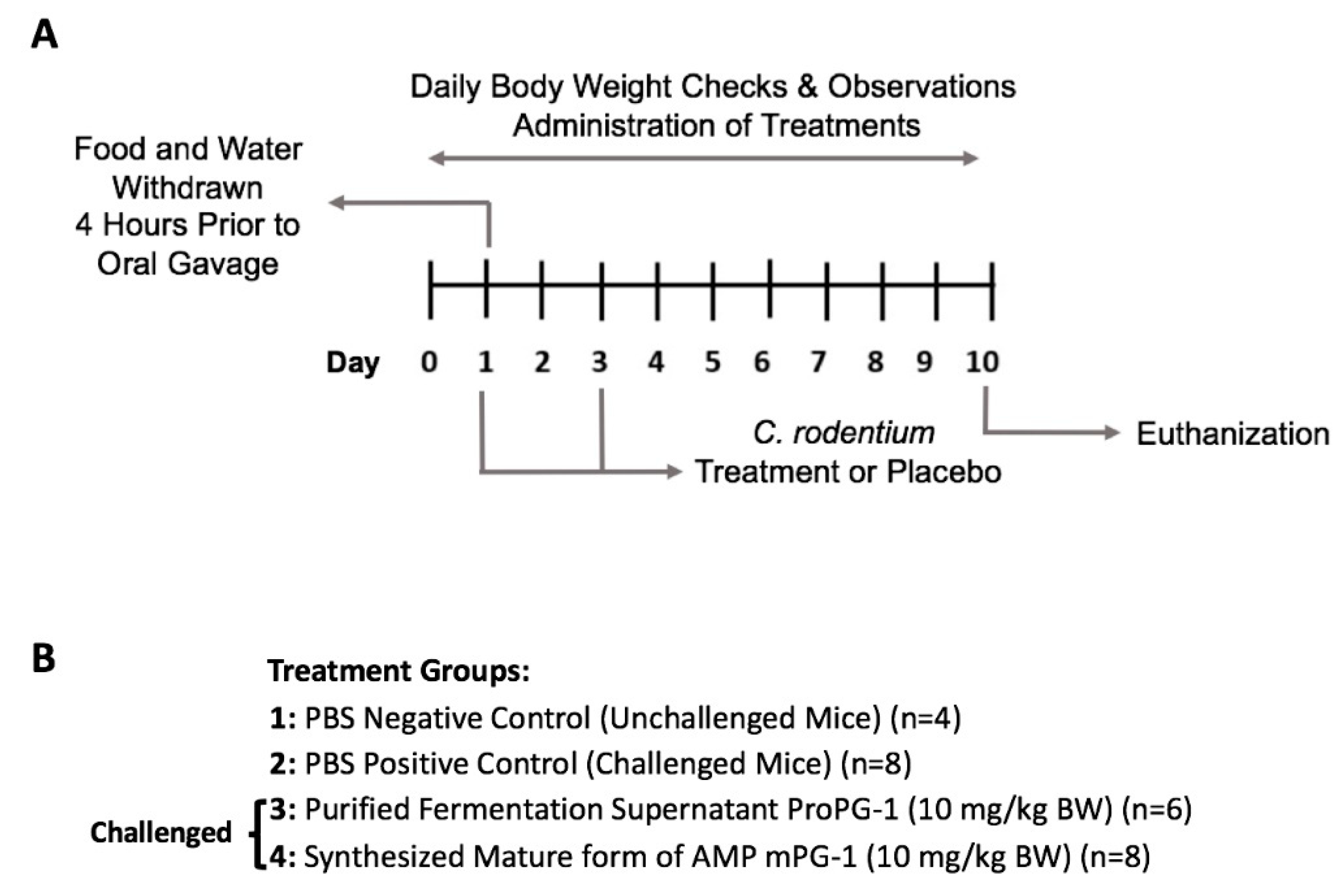 Ijms 22 09494 g001 Ijms 22 09494 g001