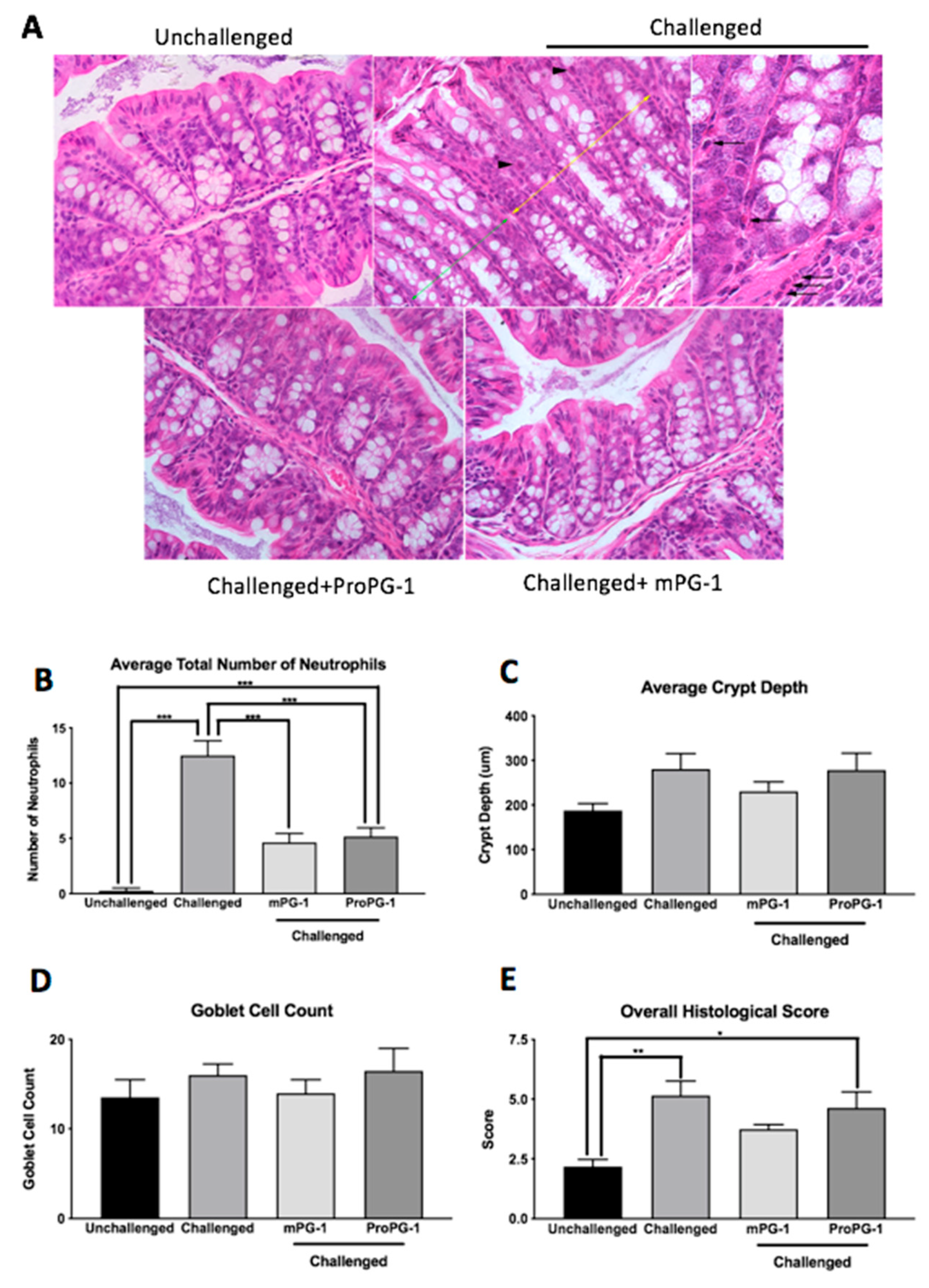 Ijms 22 09494 g003 Ijms 22 09494 g003