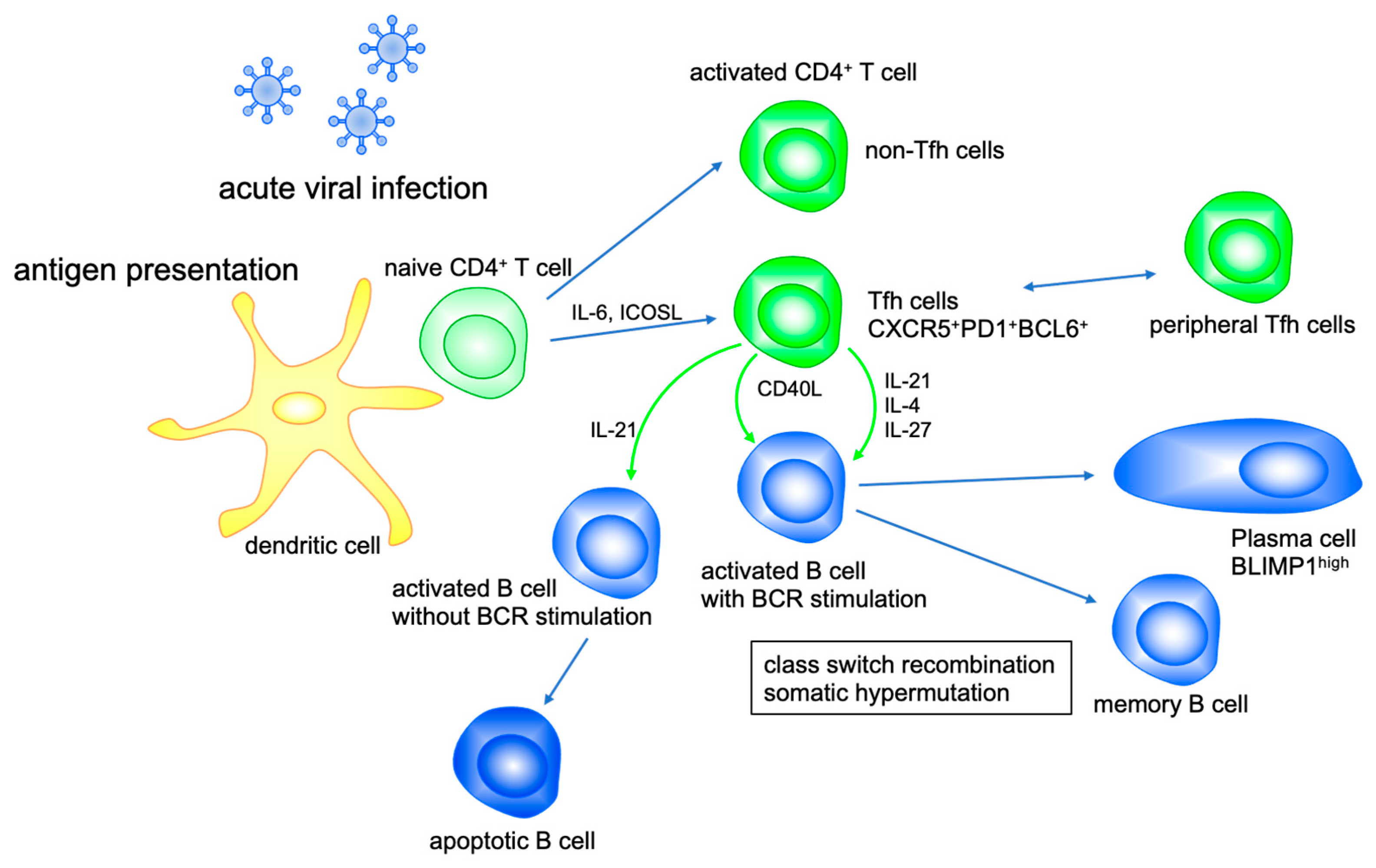 Ijms 22 09521 g001 Ijms 22 09521 g001
