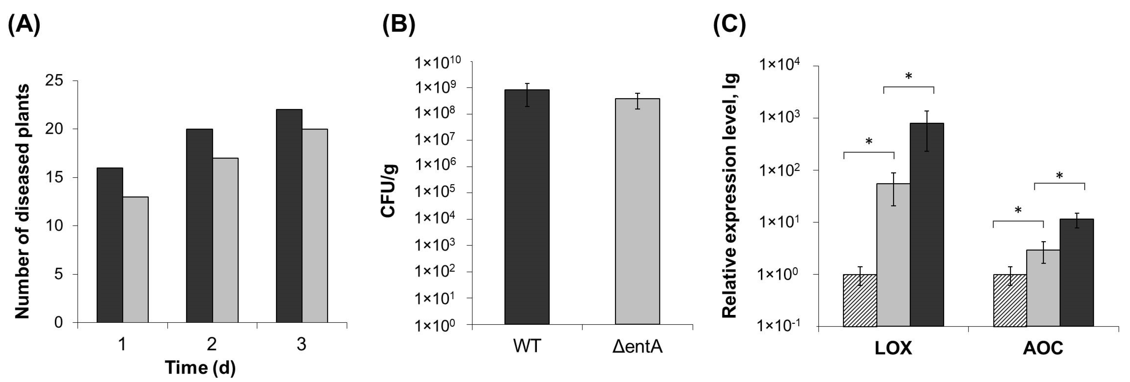 Ijms 22 09594 g002 Ijms 22 09594 g002
