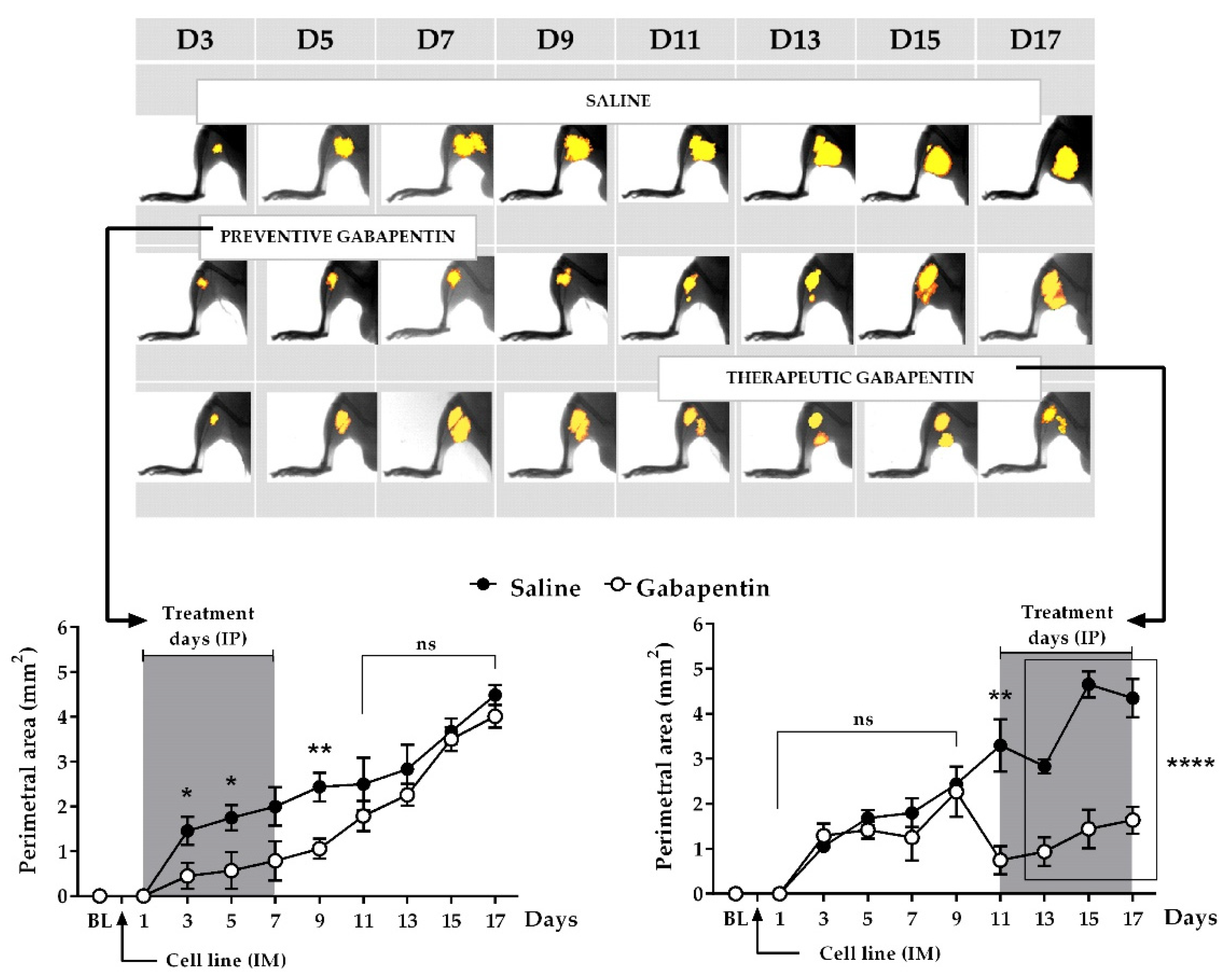 Ijms 22 09671 g004 Ijms 22 09671 g004