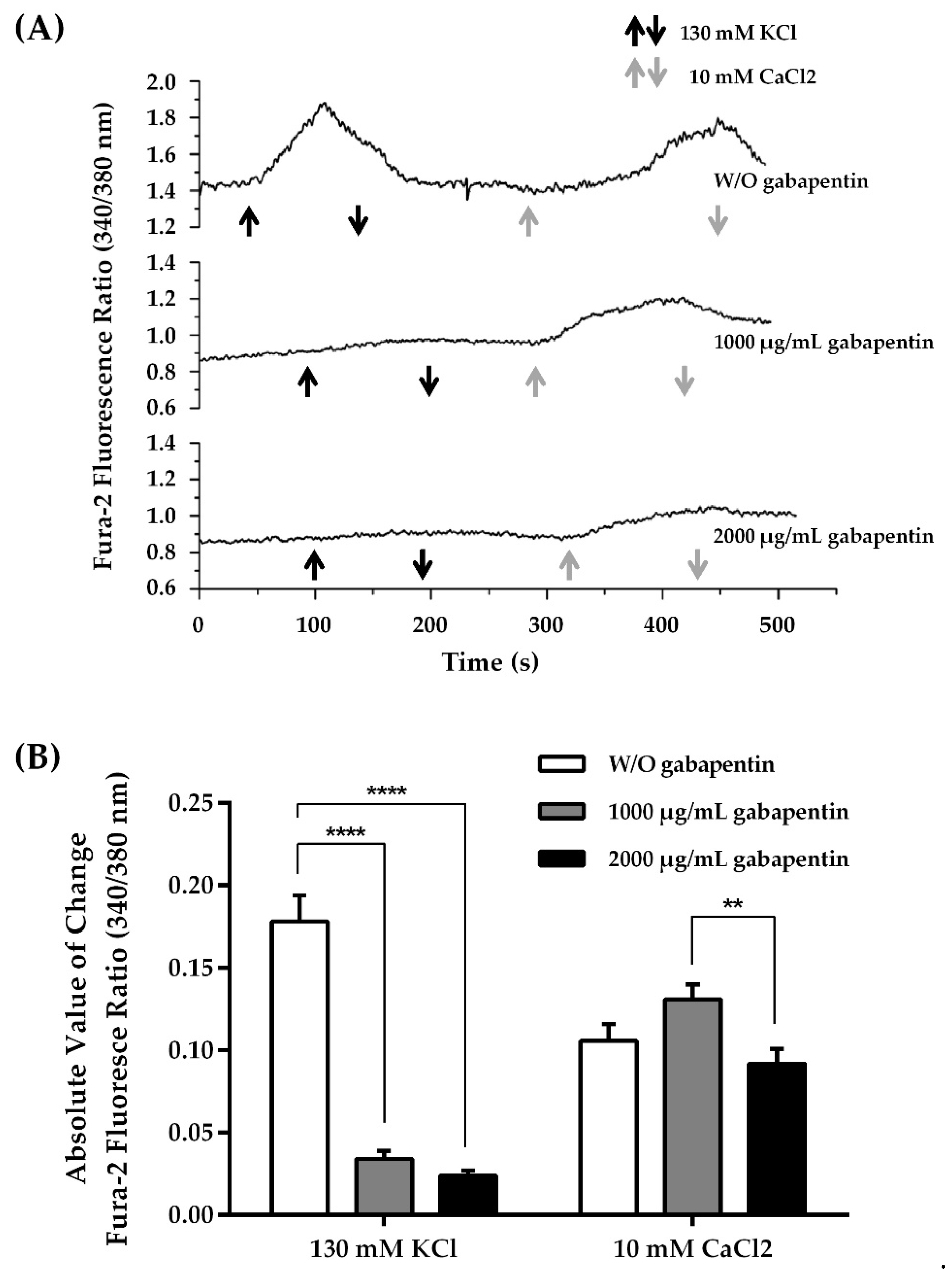 Ijms 22 09671 g007 Ijms 22 09671 g007
