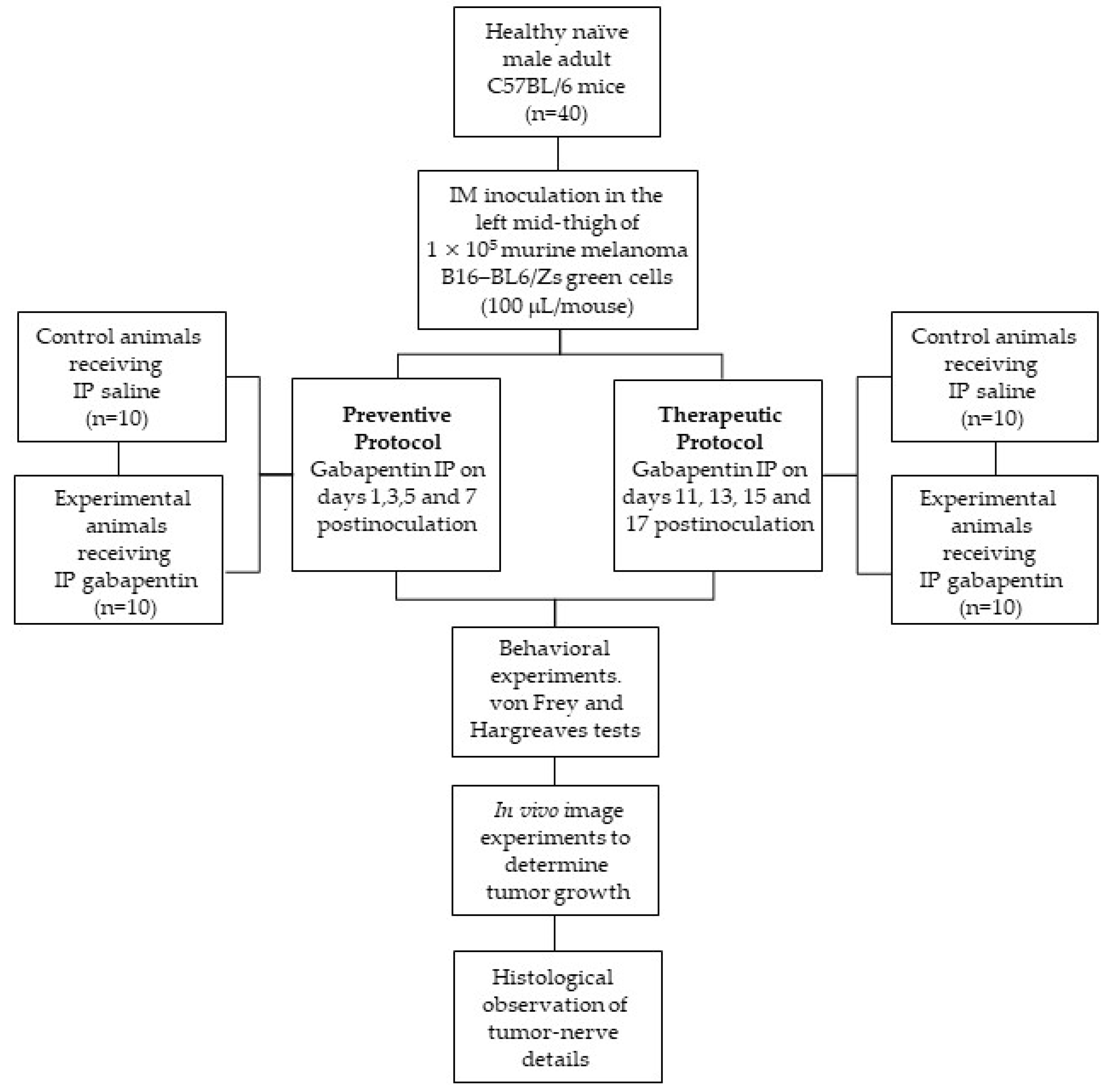 Ijms 22 09671 g008 Ijms 22 09671 g008