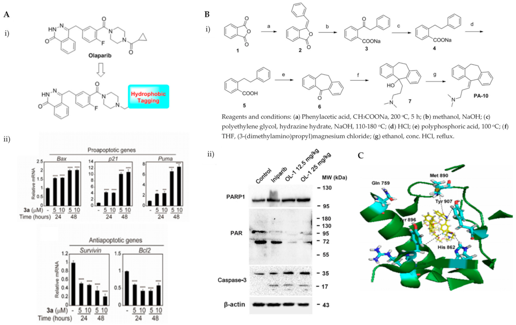 Ijms 22 09722 g003 Ijms 22 09722 g003