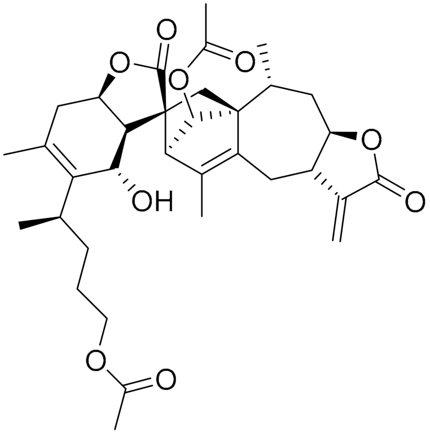 Ijms 22 09722 i019 Ijms 22 09722 i019