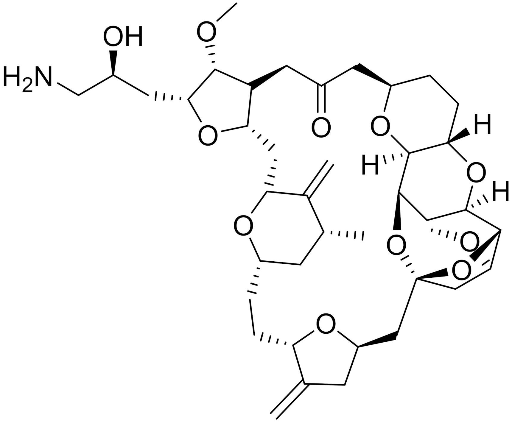 Ijms 22 09722 i026 Ijms 22 09722 i026