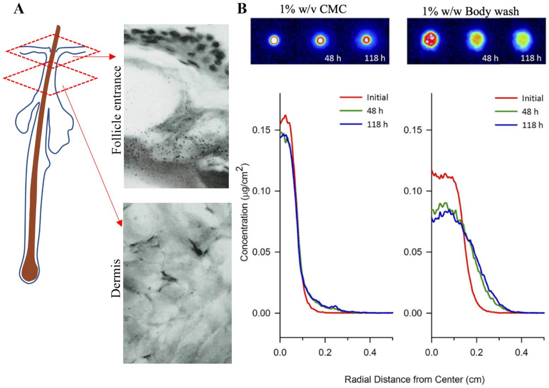 Ijms 22 09730 g006 Ijms 22 09730 g006
