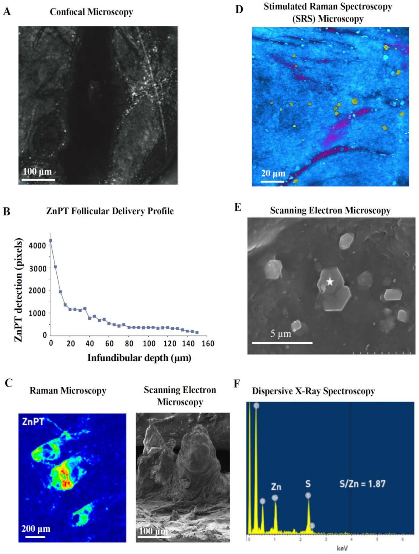 Ijms 22 09730 g007 Ijms 22 09730 g007