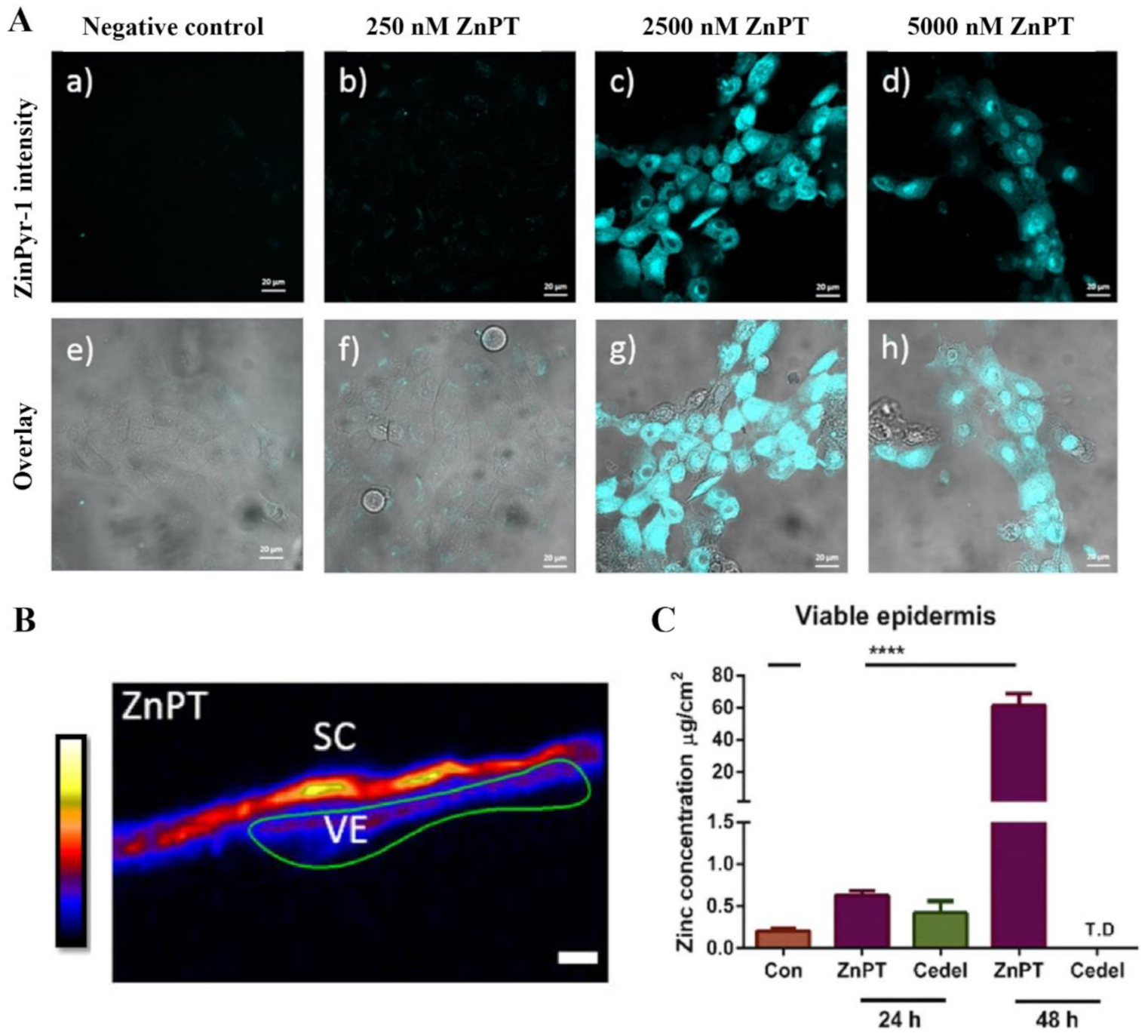 Ijms 22 09730 g009 Ijms 22 09730 g009