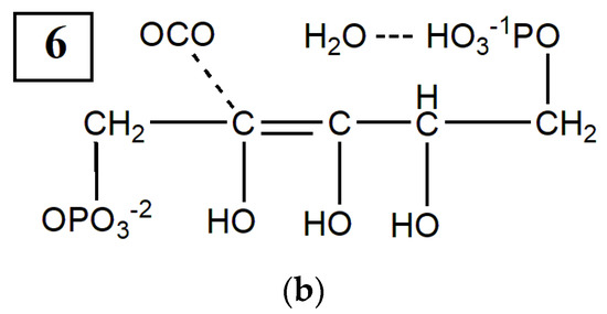 Ijms 22 09749 g0a13b 550