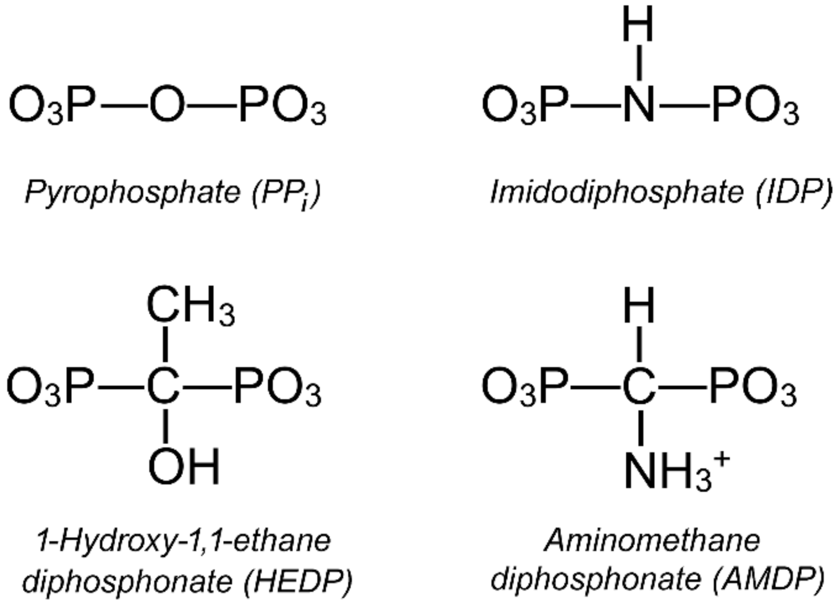 Ijms 22 09820 g002 Ijms 22 09820 g002