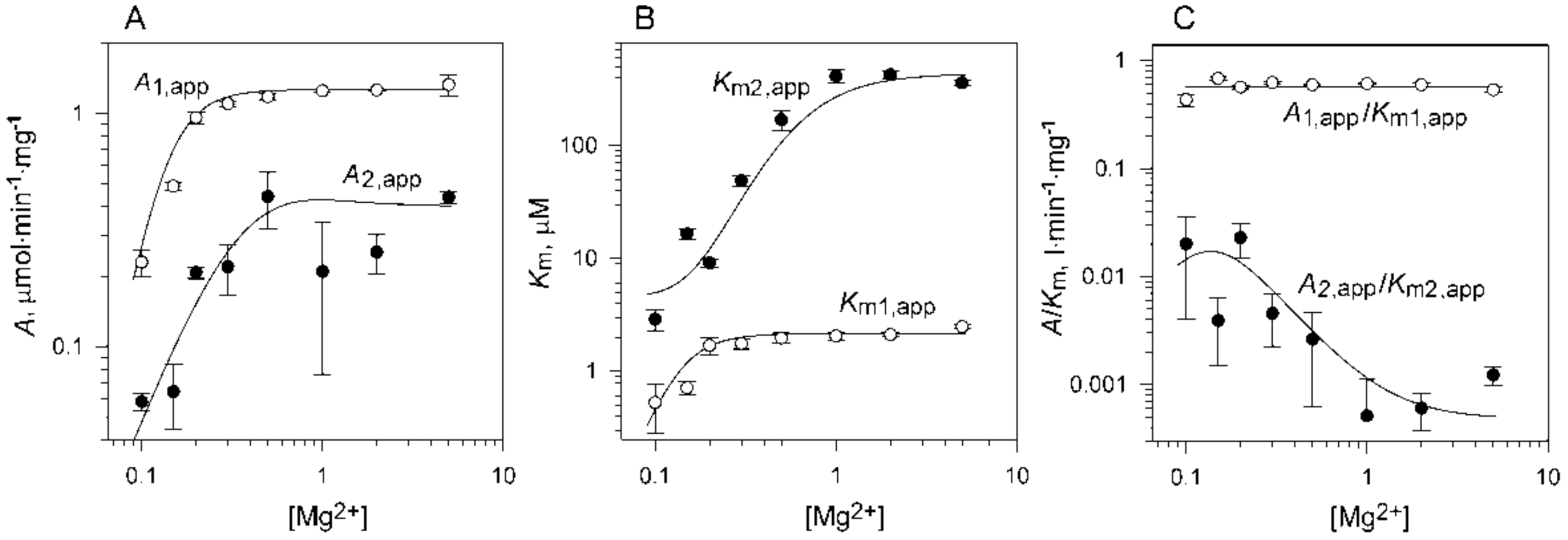 Ijms 22 09820 g006 Ijms 22 09820 g006