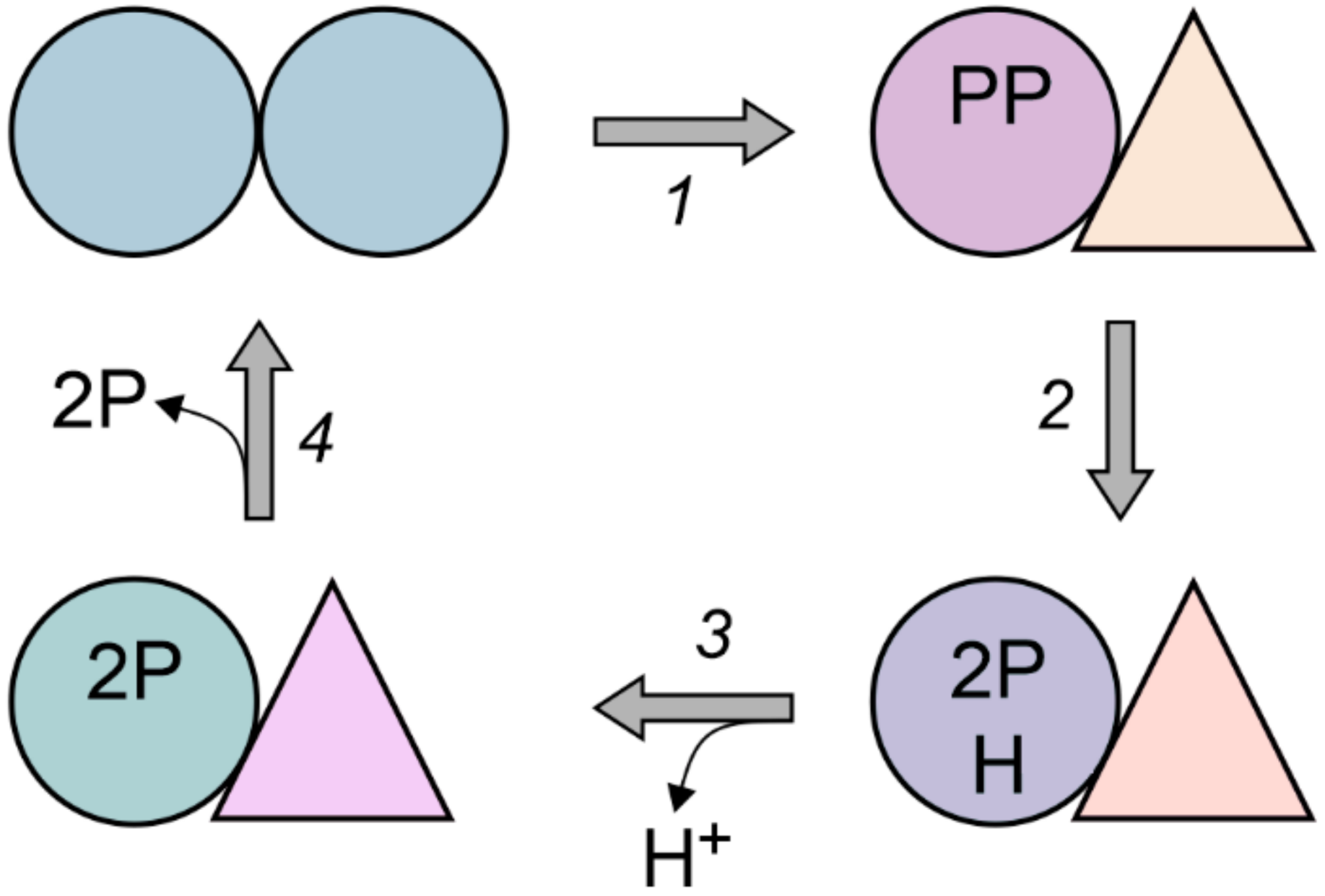 Ijms 22 09820 g007 Ijms 22 09820 g007