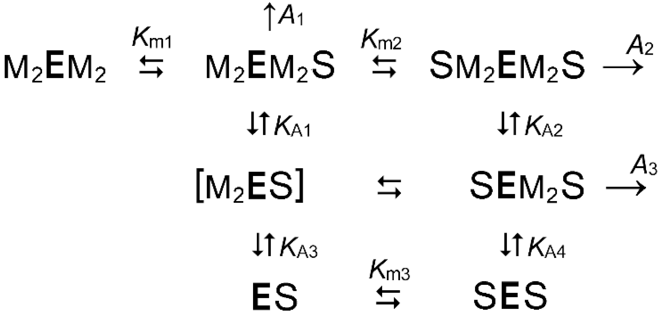 Ijms 22 09820 sch003 Ijms 22 09820 sch003