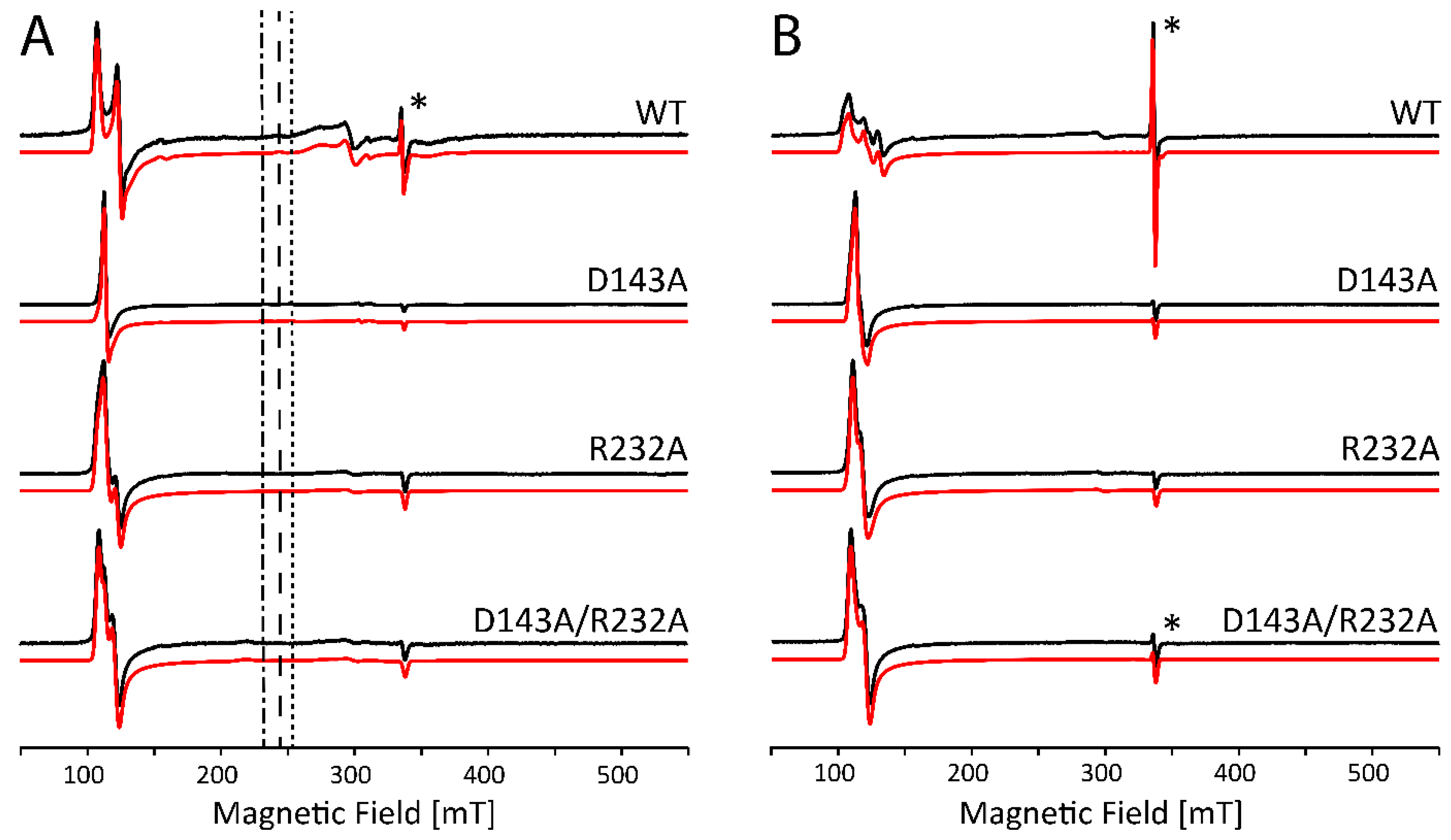 Ijms 22 09849 g005 Ijms 22 09849 g005