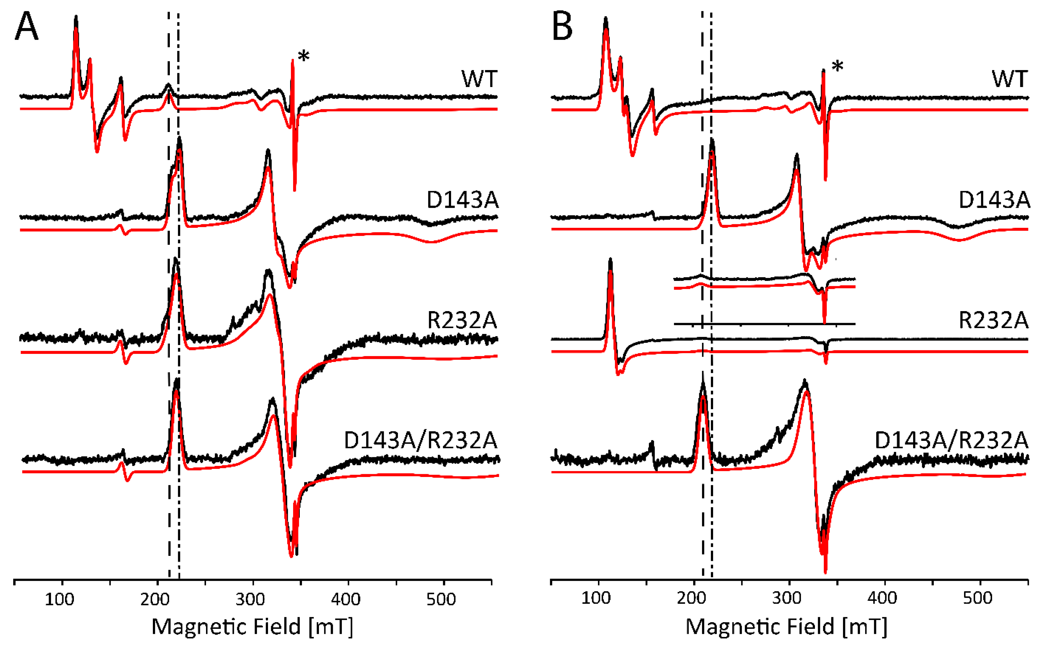 Ijms 22 09849 g006 Ijms 22 09849 g006