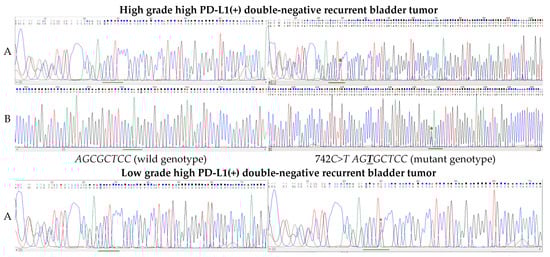 Ijms 22 09856 g0a2a 550