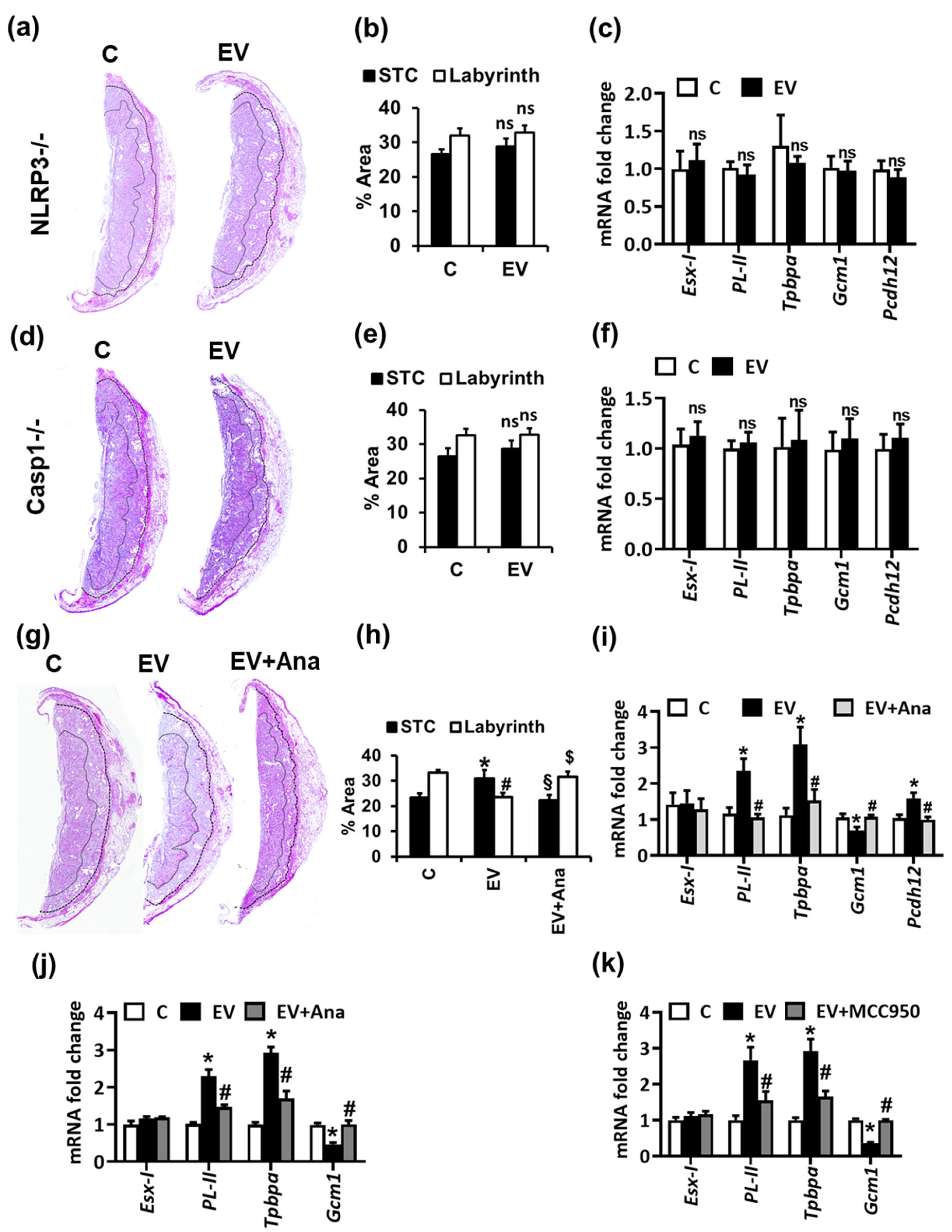 Ijms 22 09873 g003 Ijms 22 09873 g003