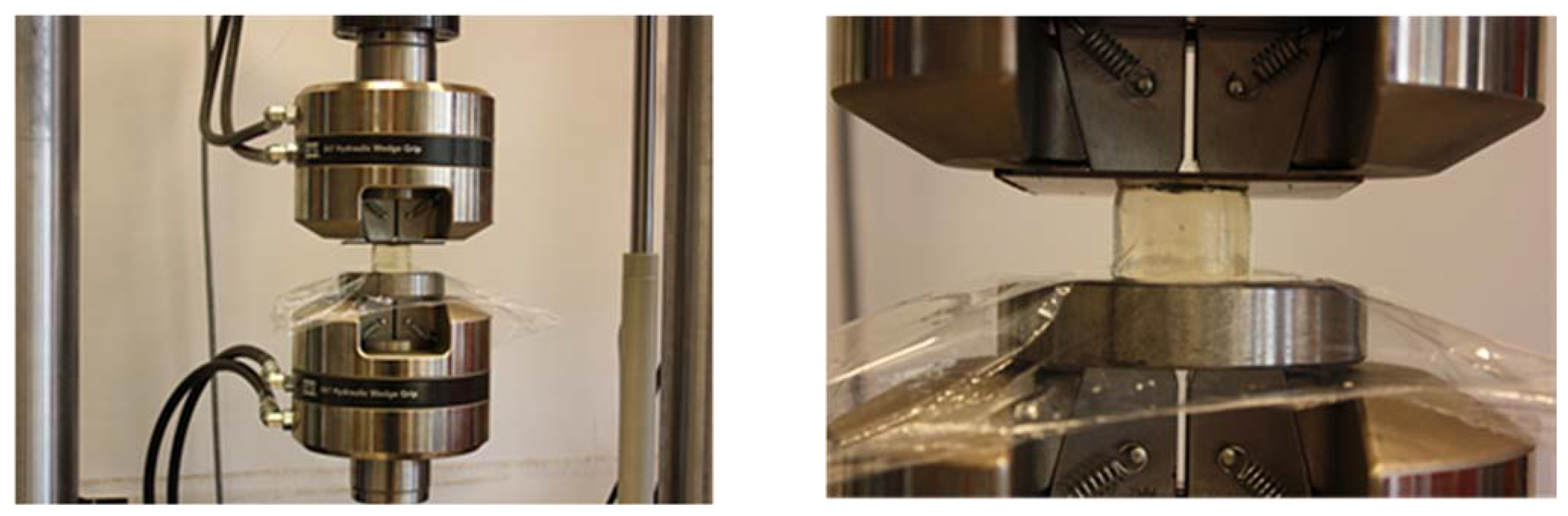 Ijms 22 09909 g012 Ijms 22 09909 g012