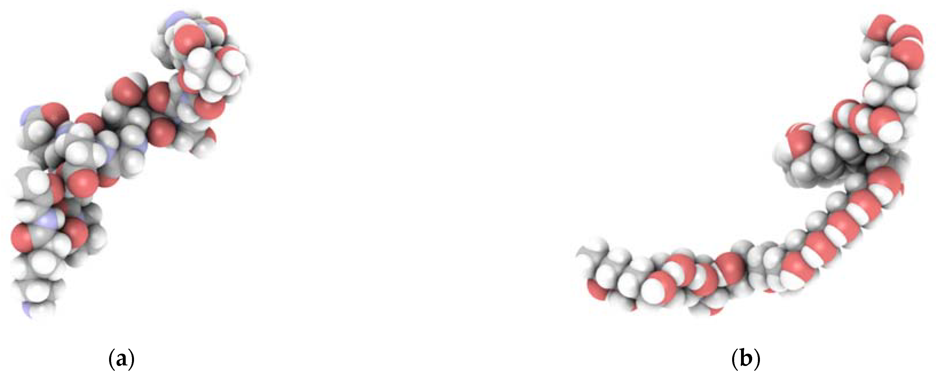 Ijms 22 09909 g013 Ijms 22 09909 g013