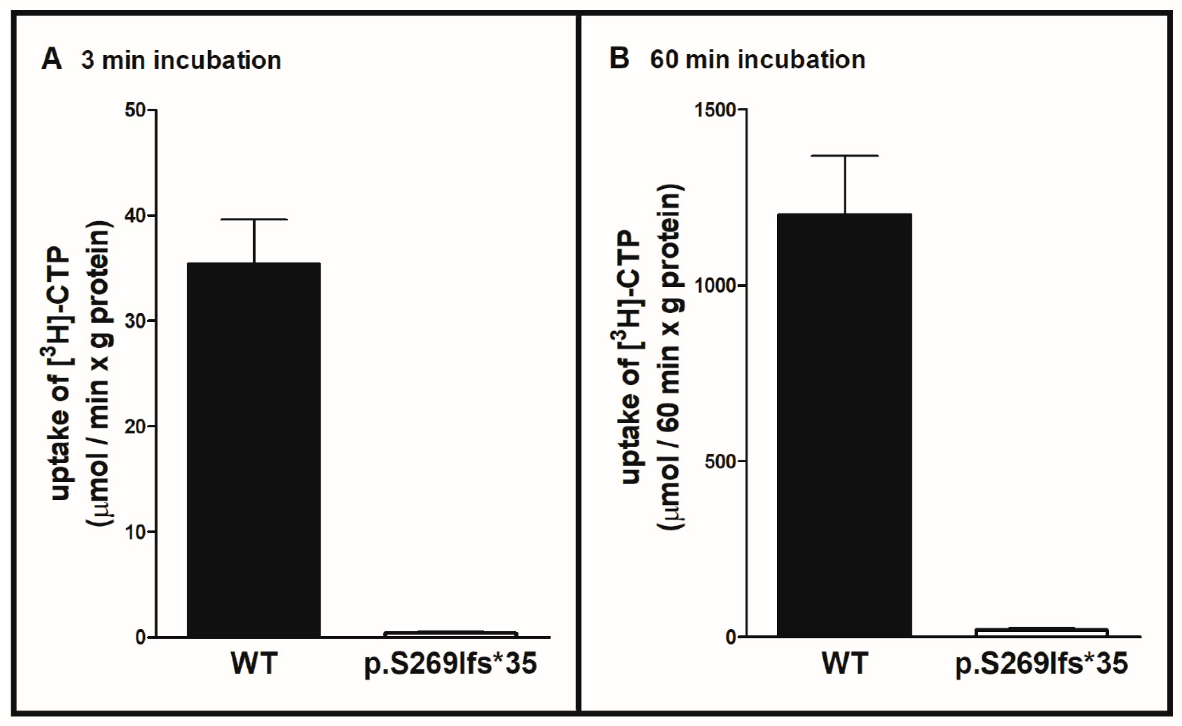 Ijms 22 09929 g001 Ijms 22 09929 g001